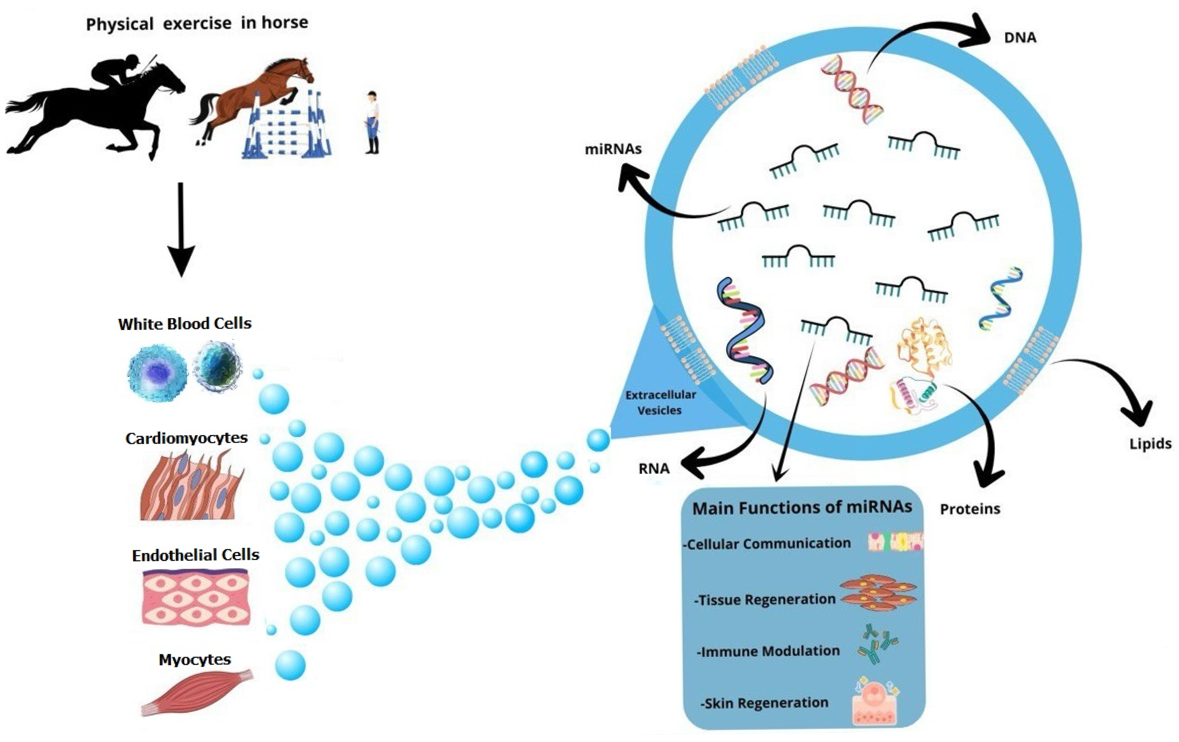 Ijms 27 00520 g002 Ijms 27 00520 g002