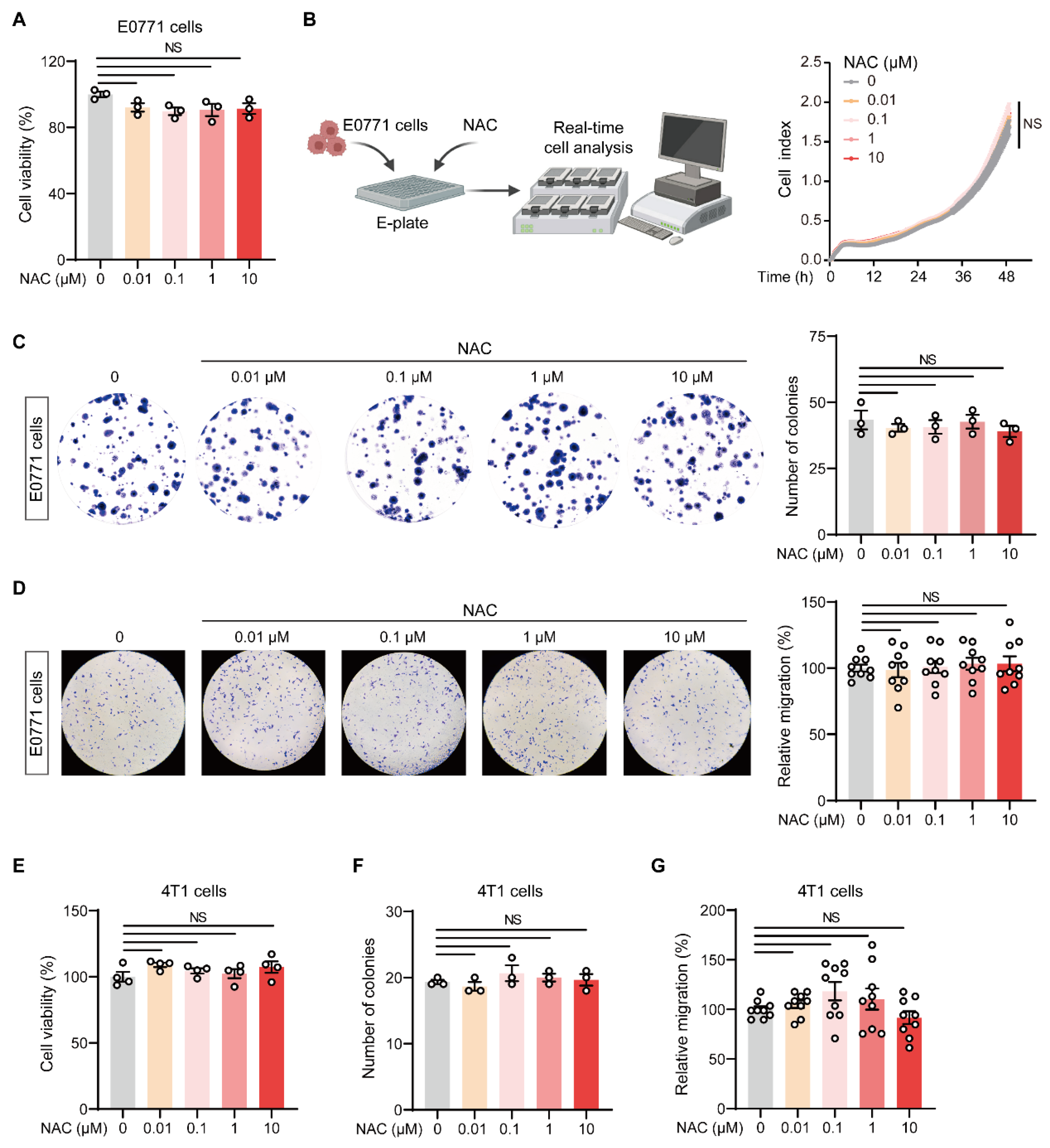 Ijms 27 00526 g002 Ijms 27 00526 g002
