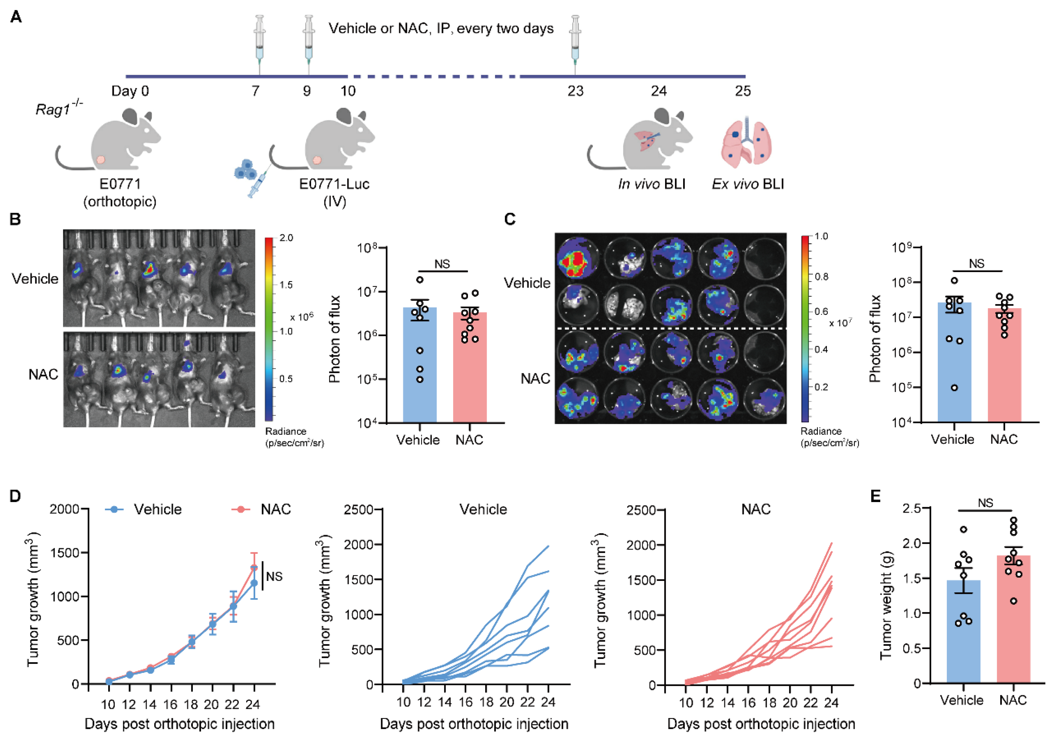 Ijms 27 00526 g003 Ijms 27 00526 g003