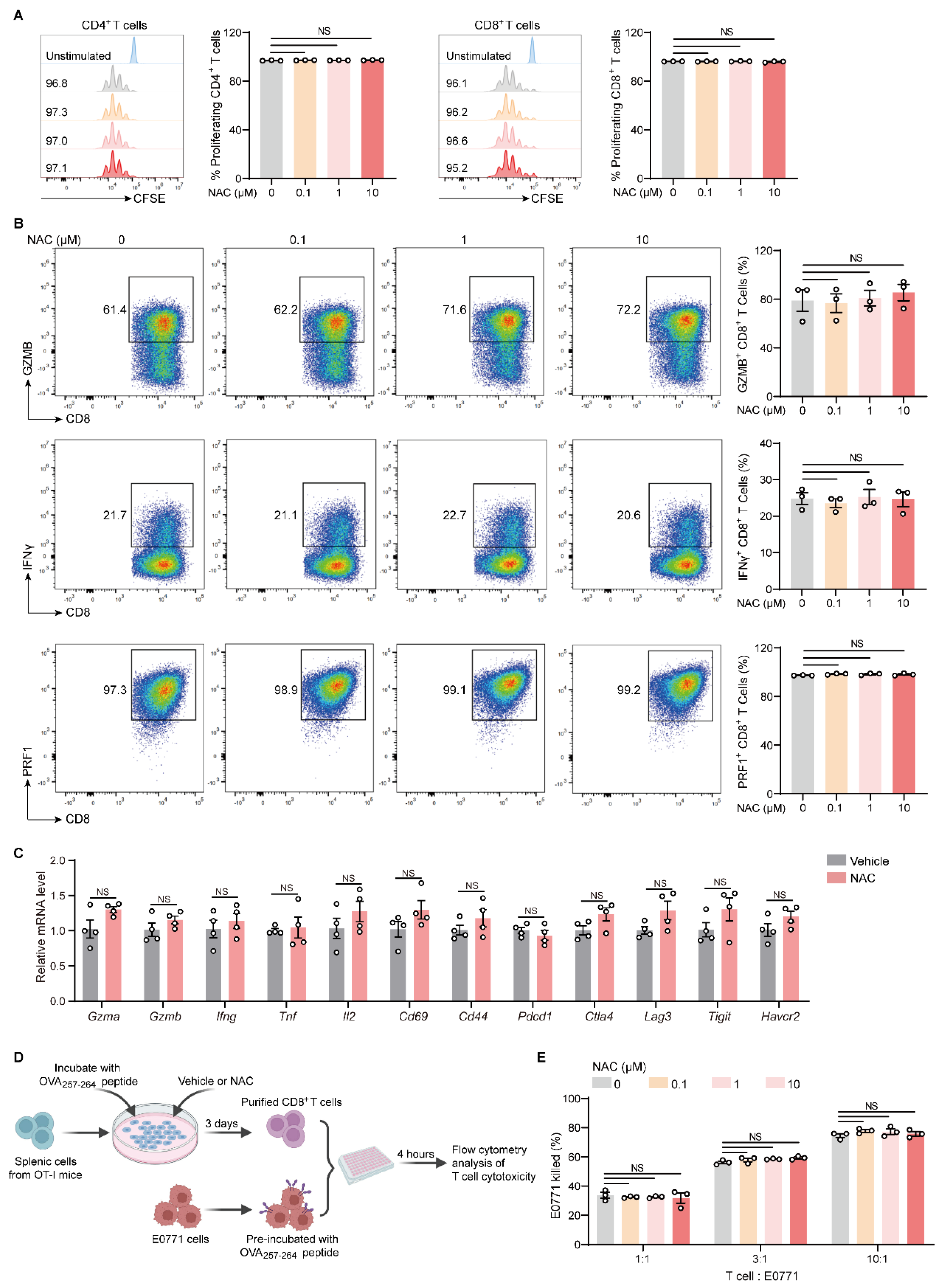 Ijms 27 00526 g004 Ijms 27 00526 g004