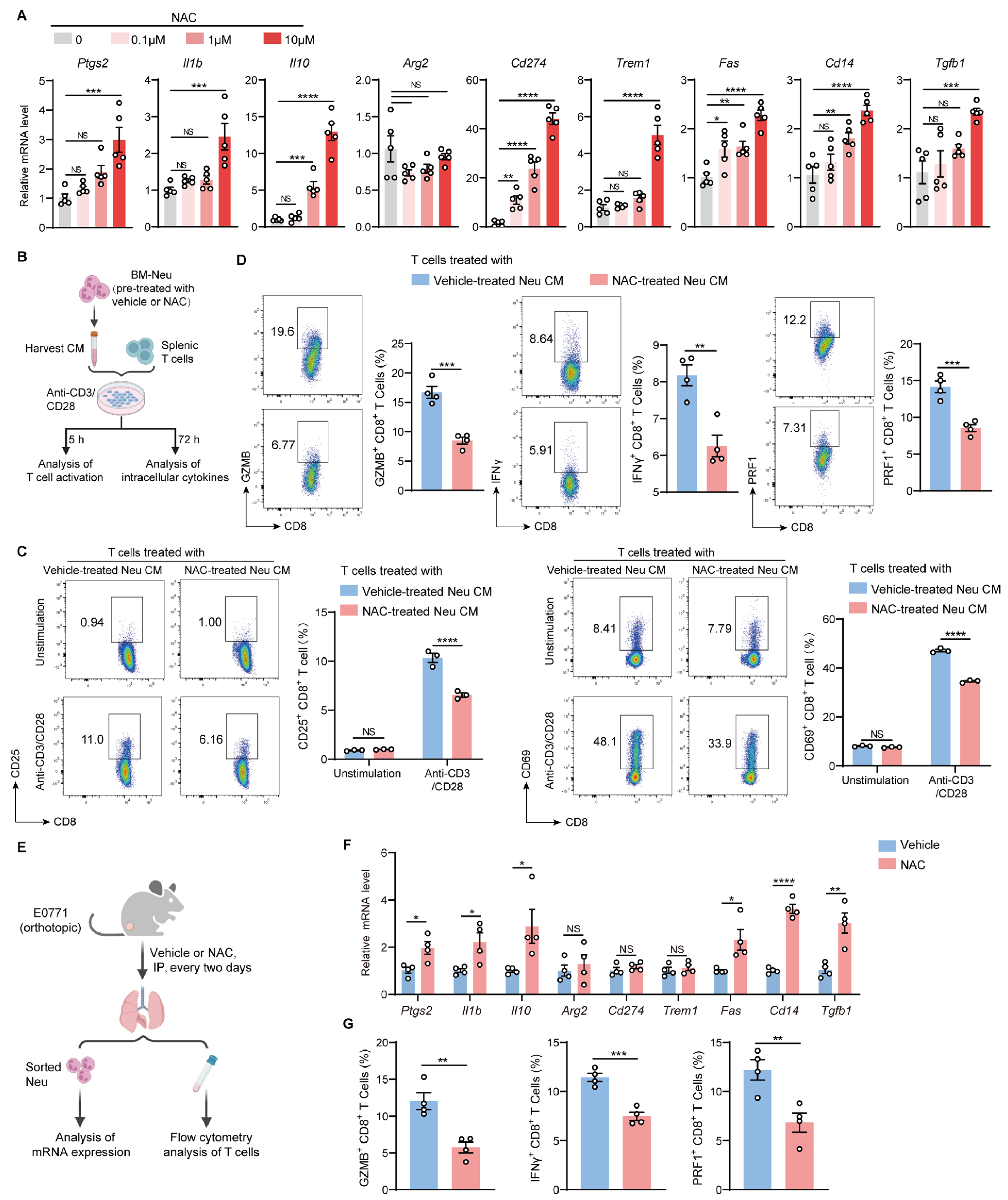 Ijms 27 00526 g005 Ijms 27 00526 g005