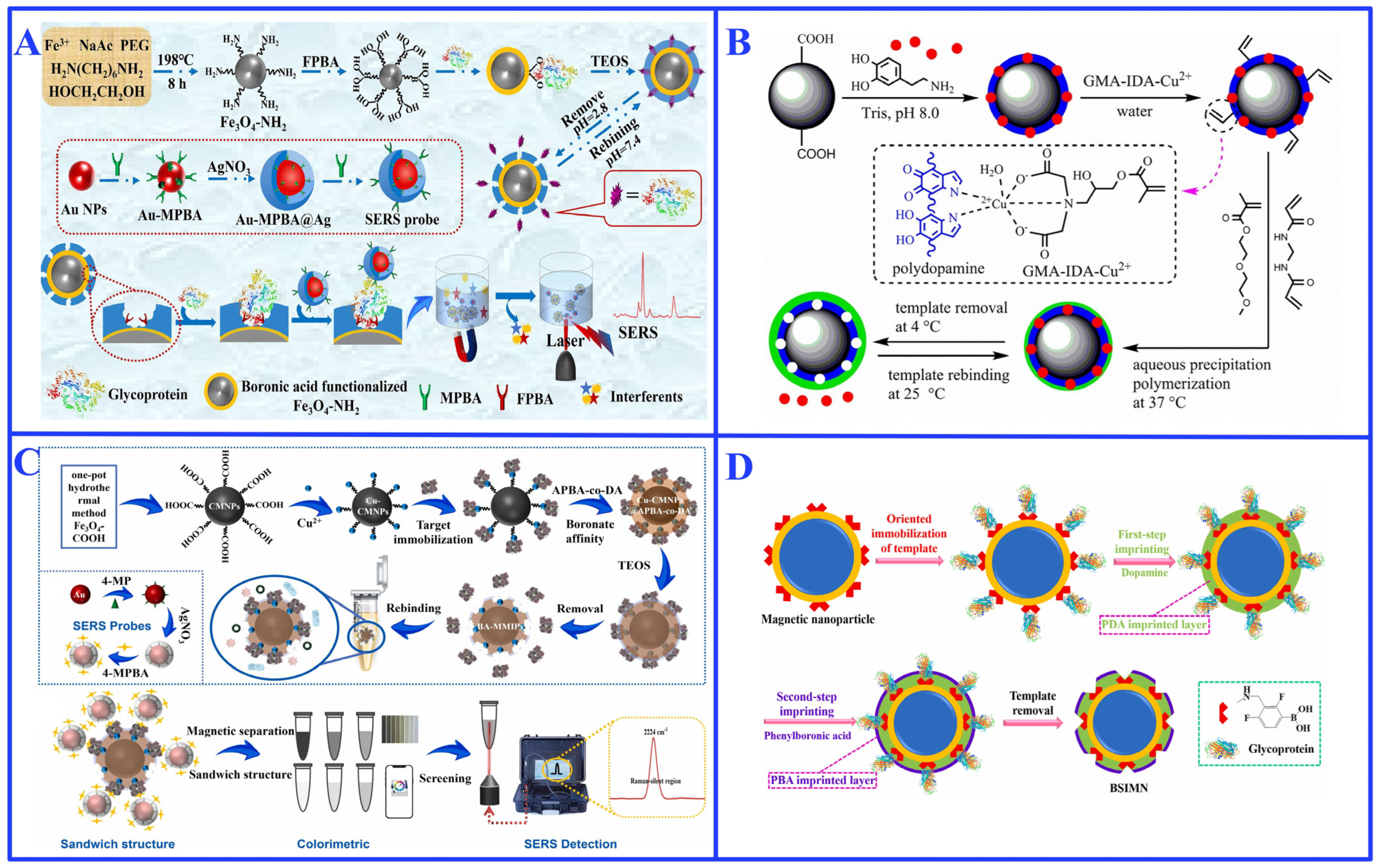 Ijms 27 00528 g004 Ijms 27 00528 g004