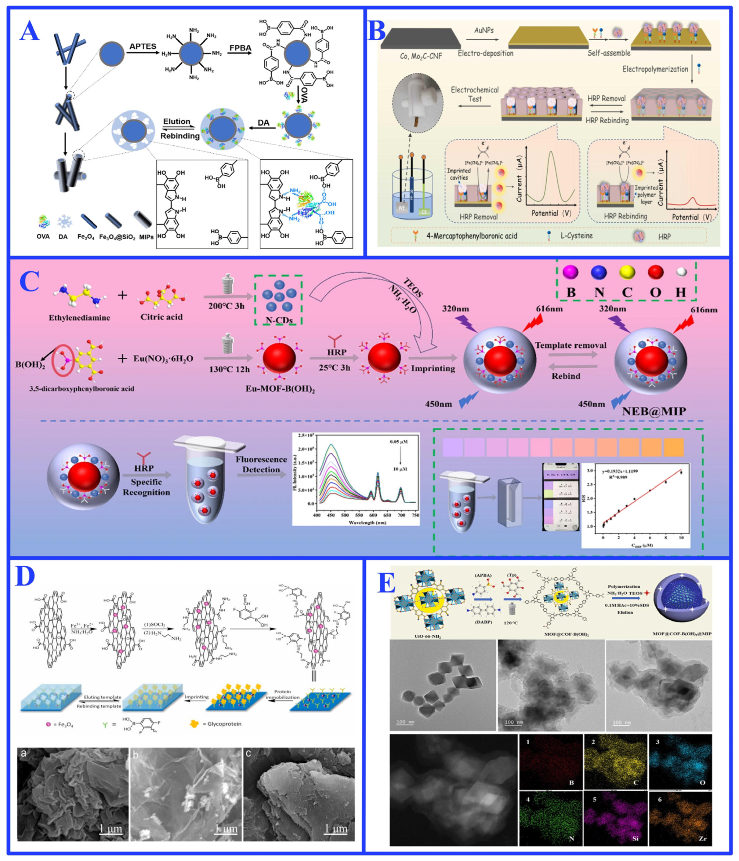 Ijms 27 00528 g005 Ijms 27 00528 g005