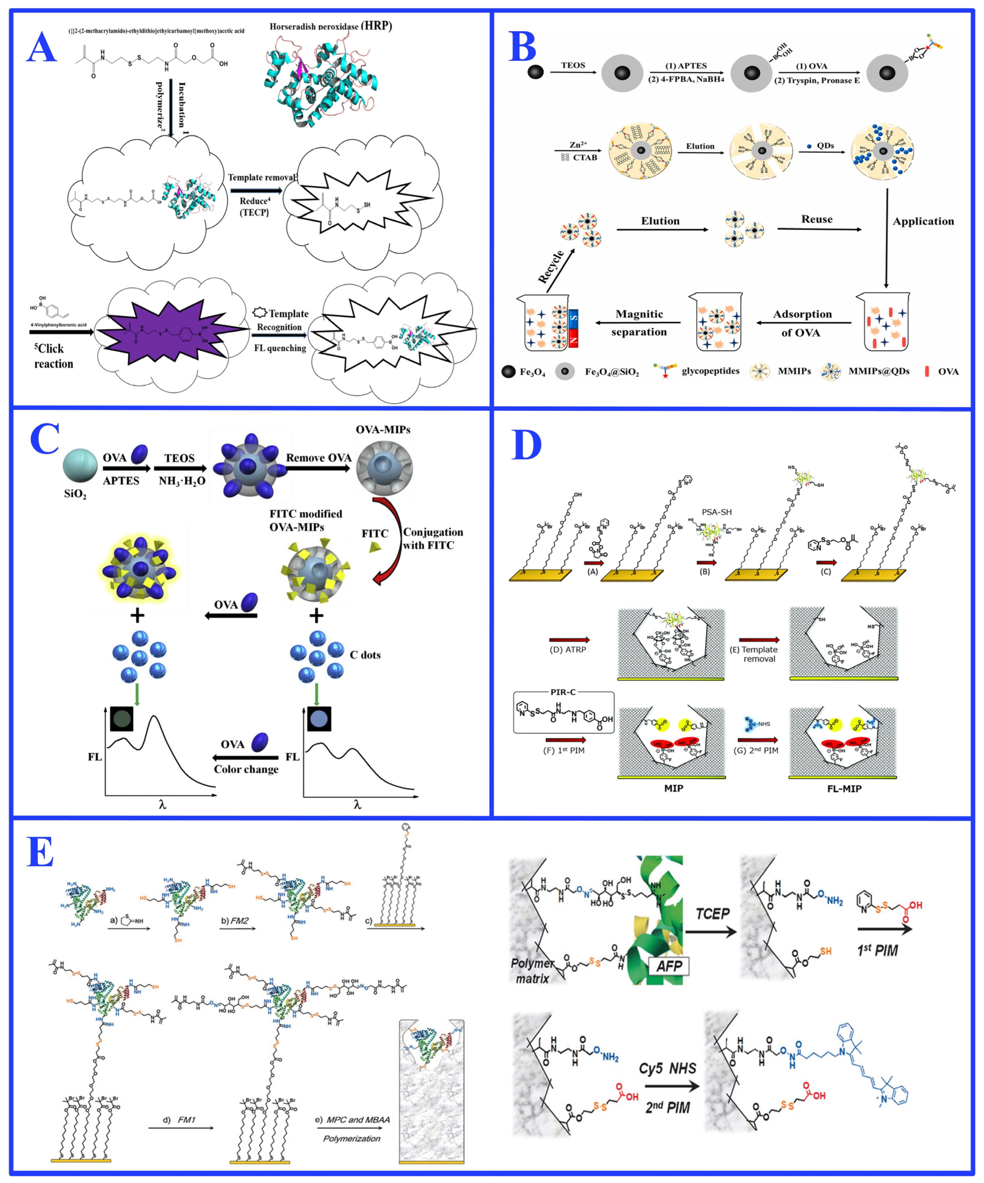 Ijms 27 00528 g009 Ijms 27 00528 g009