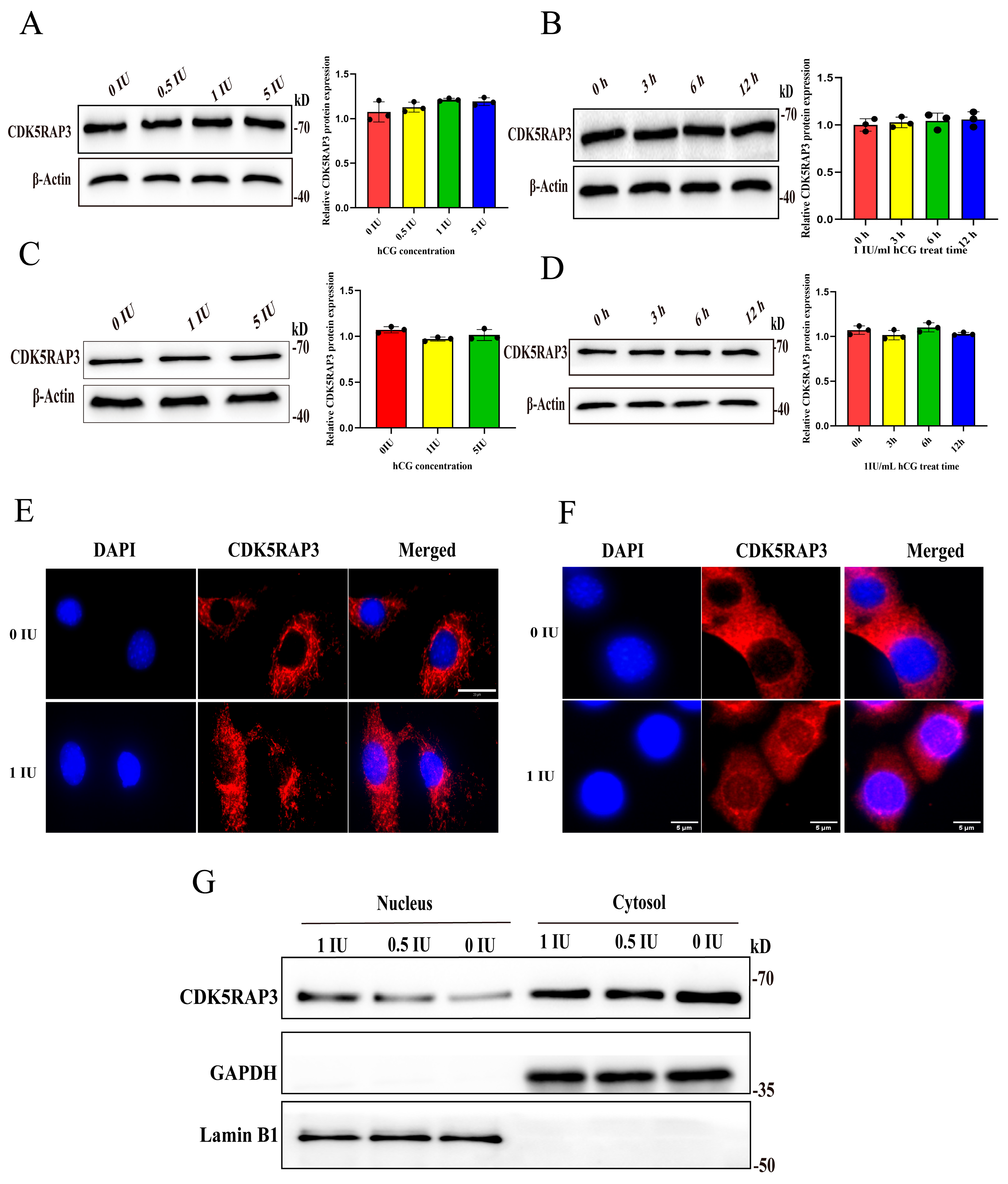 Ijms 27 00586 g005