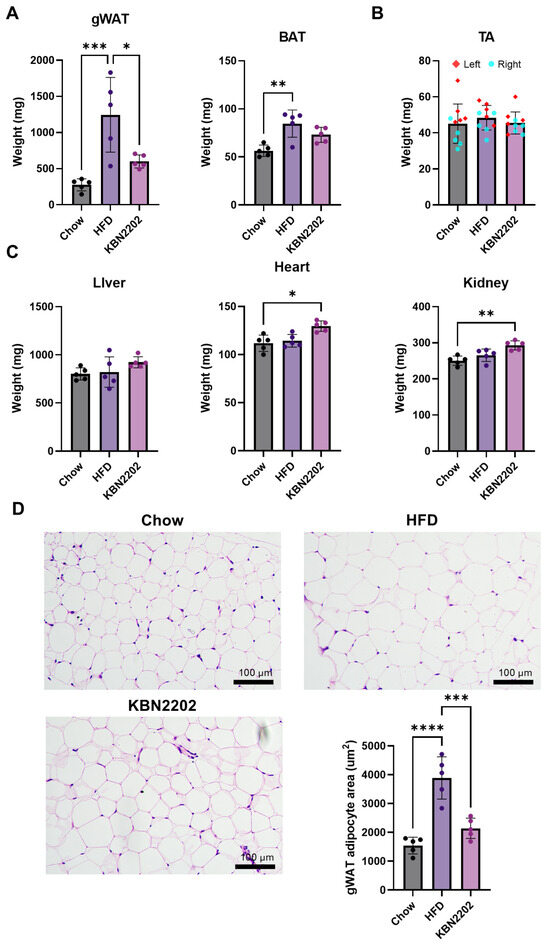KBN2202 Suppresses Gonadal White Adipose Tissue Expansion in Female ...