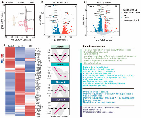 Bupleuri Radix Polysaccharides Alleviate MASLD by Regulating
