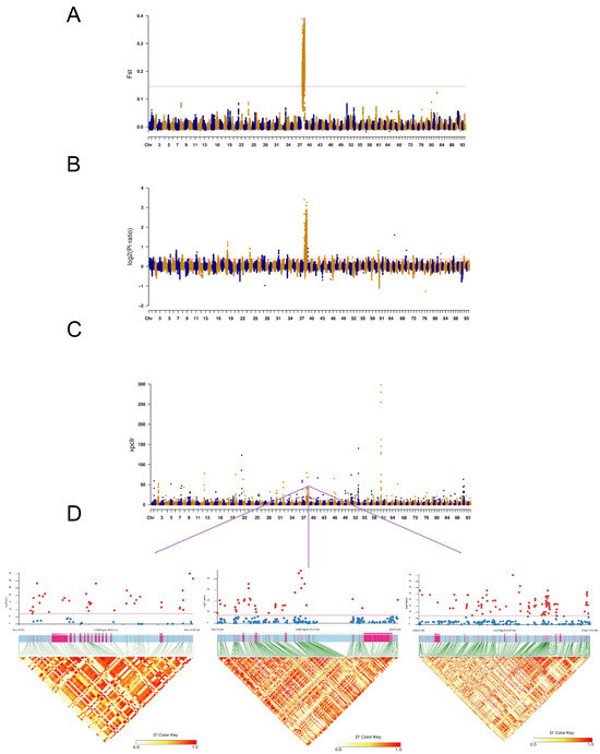 Whole-Genome Resequencing Analysis Reveals Insights into Sex