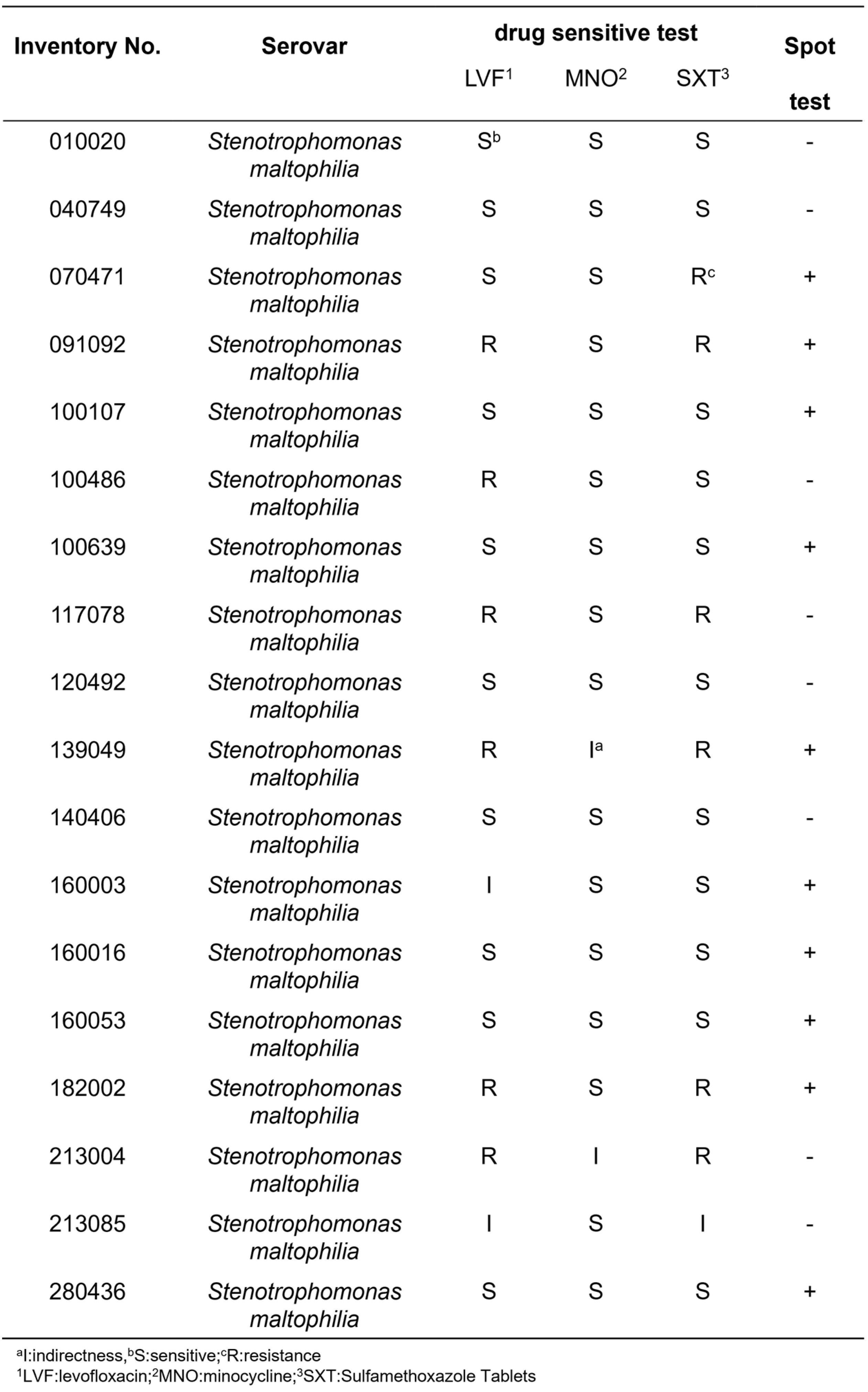 Therapeutic Potential of a Novel Stenotrophomonas maltophilia