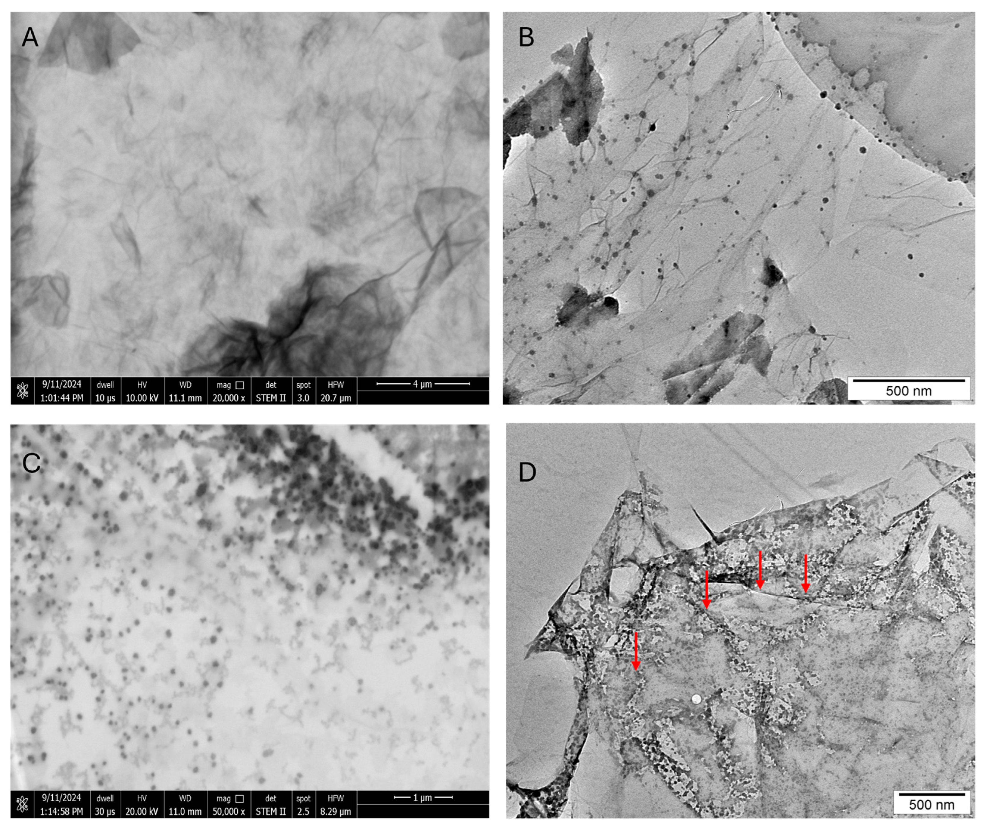 Ijms 27 00975 g001