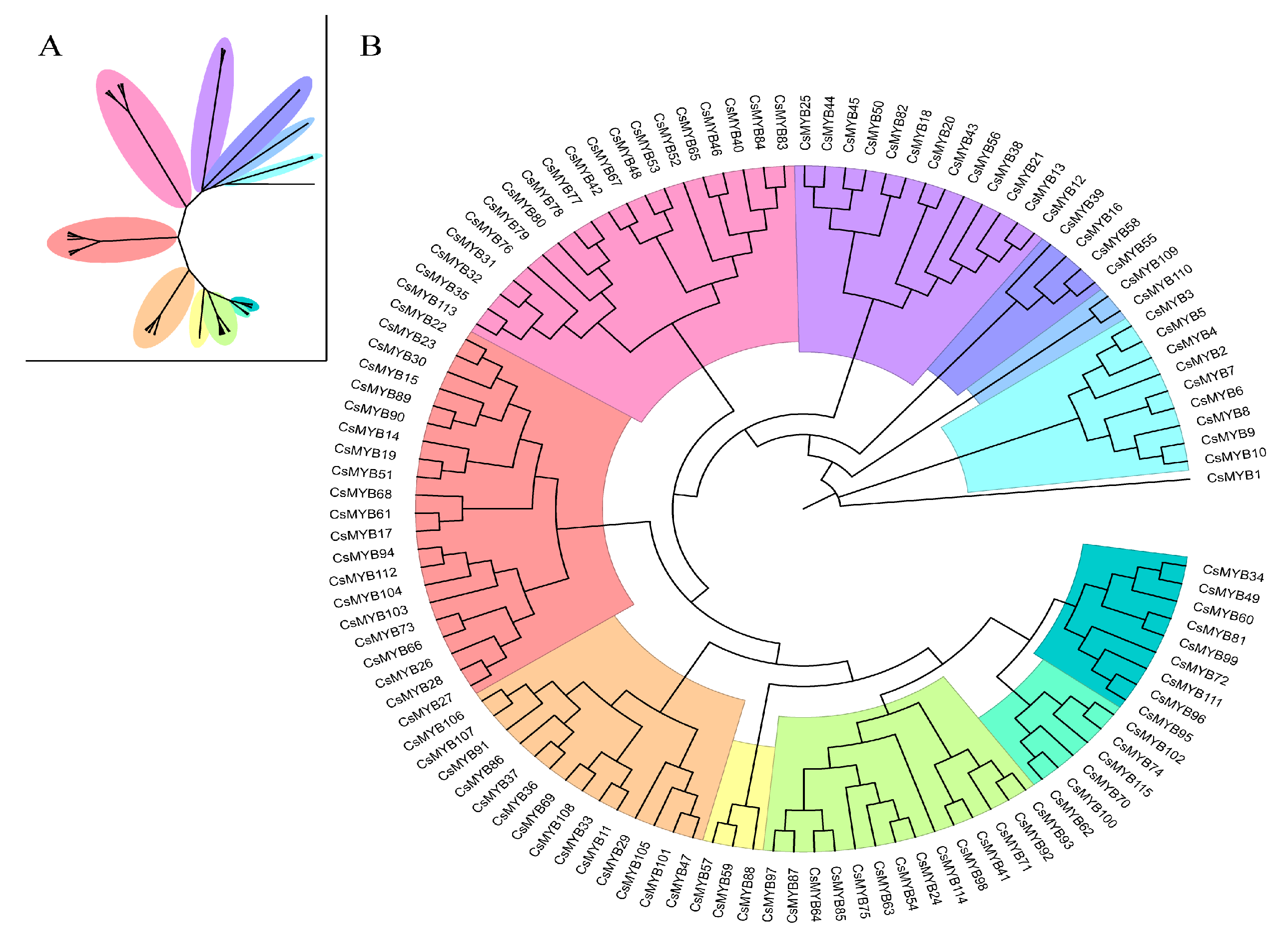 Ijms 27 01087 g001 Ijms 27 01087 g001