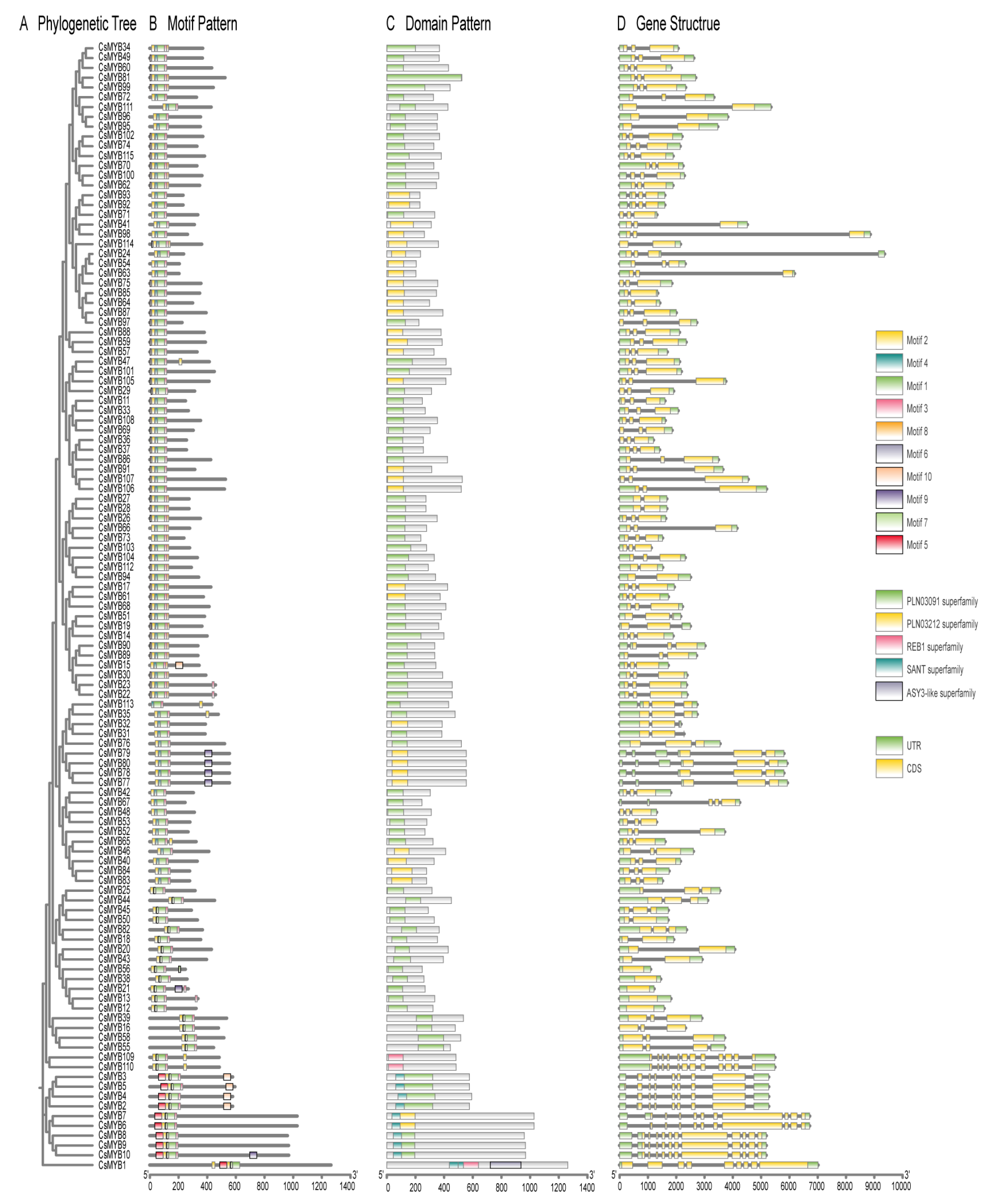 Ijms 27 01087 g002 Ijms 27 01087 g002