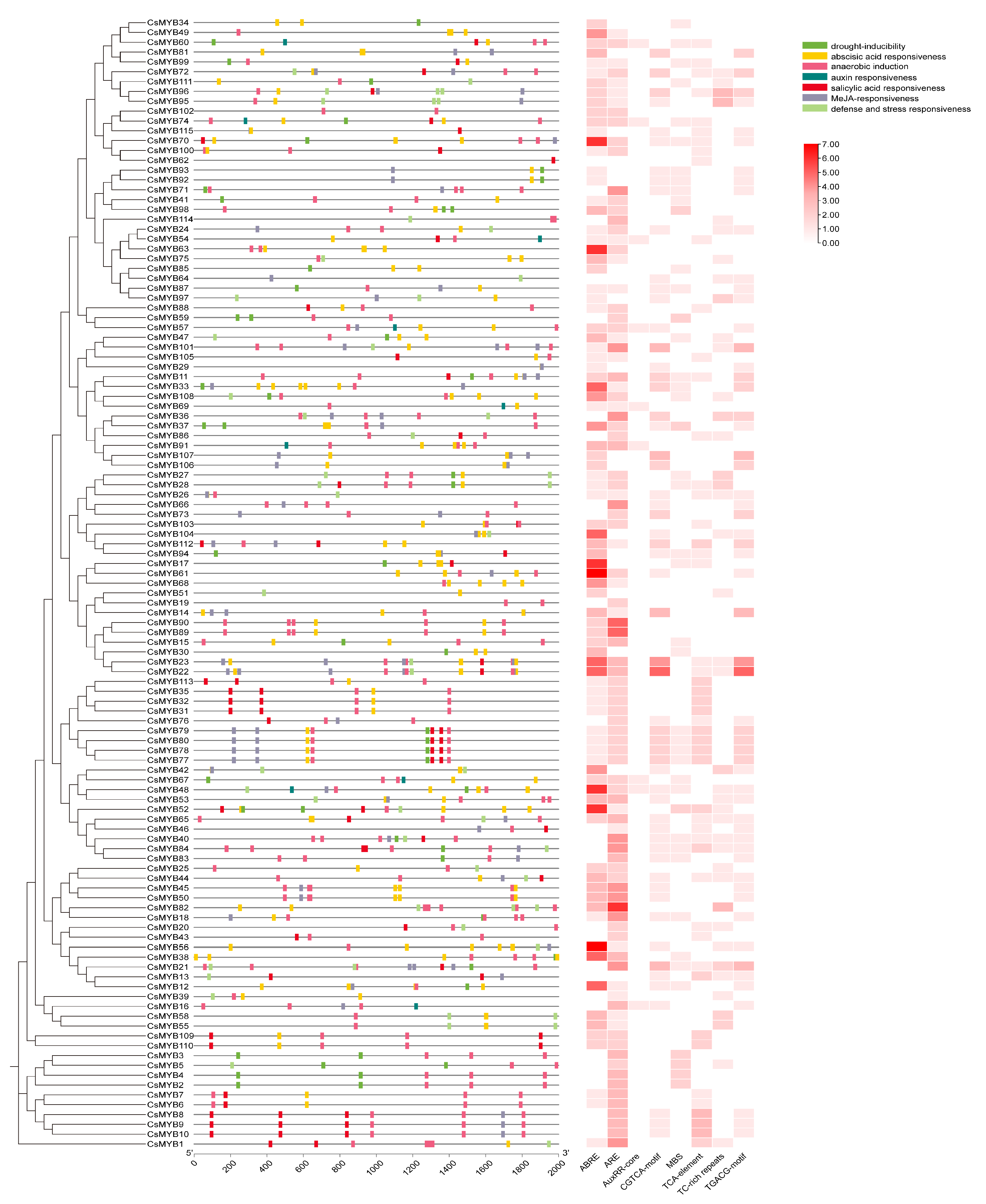 Ijms 27 01087 g003 Ijms 27 01087 g003