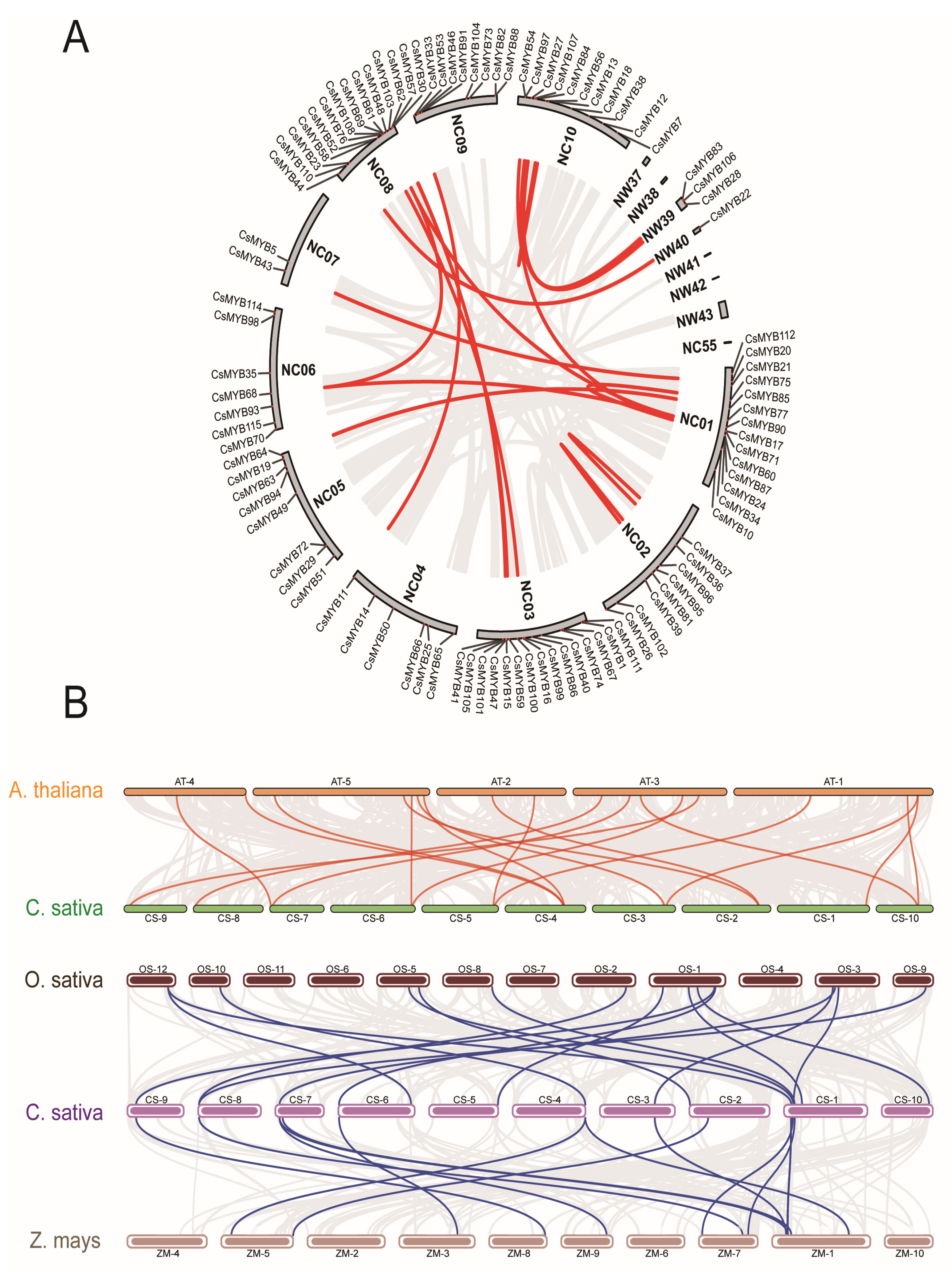 Ijms 27 01087 g004 Ijms 27 01087 g004