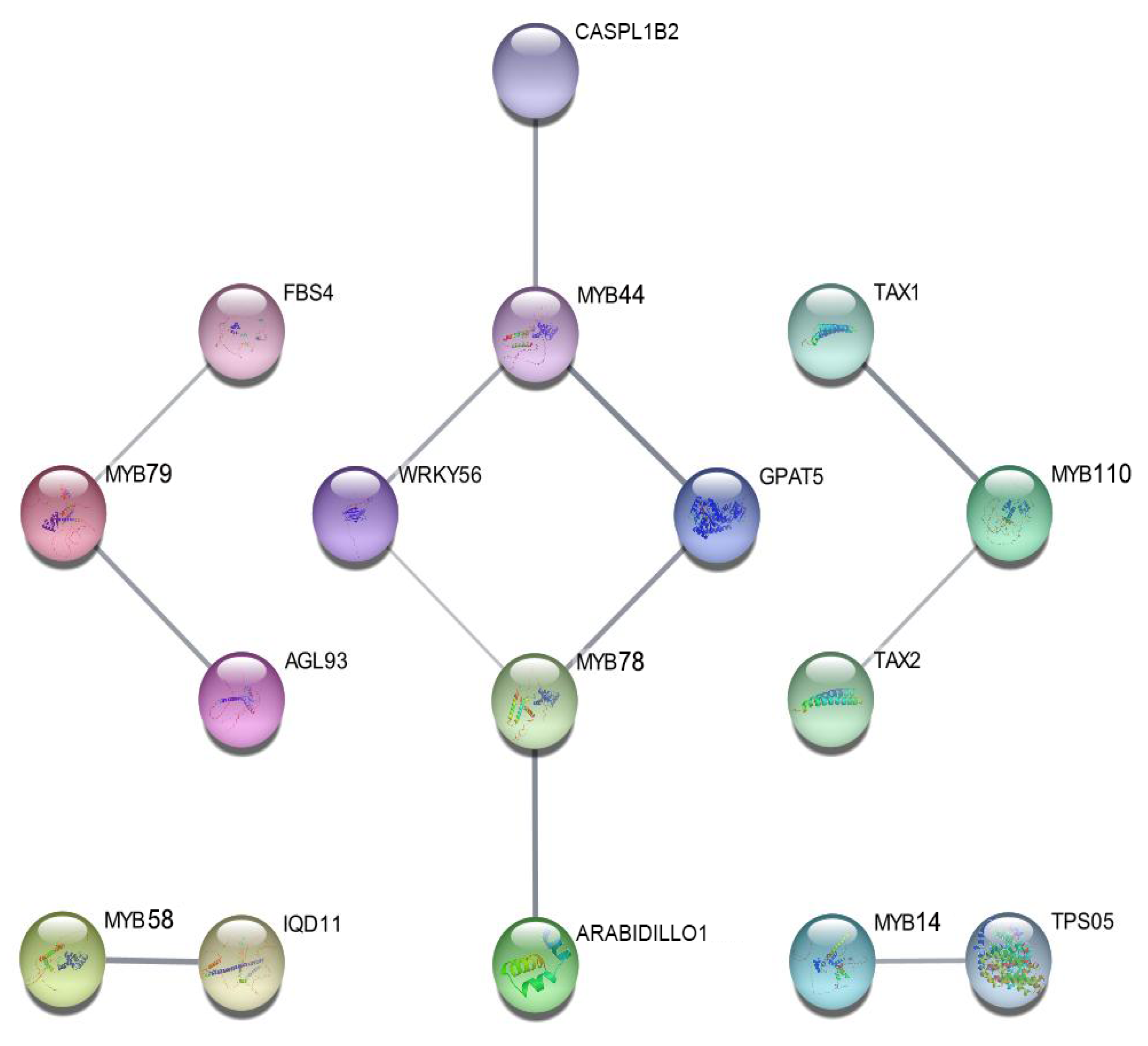 Ijms 27 01087 g006 Ijms 27 01087 g006