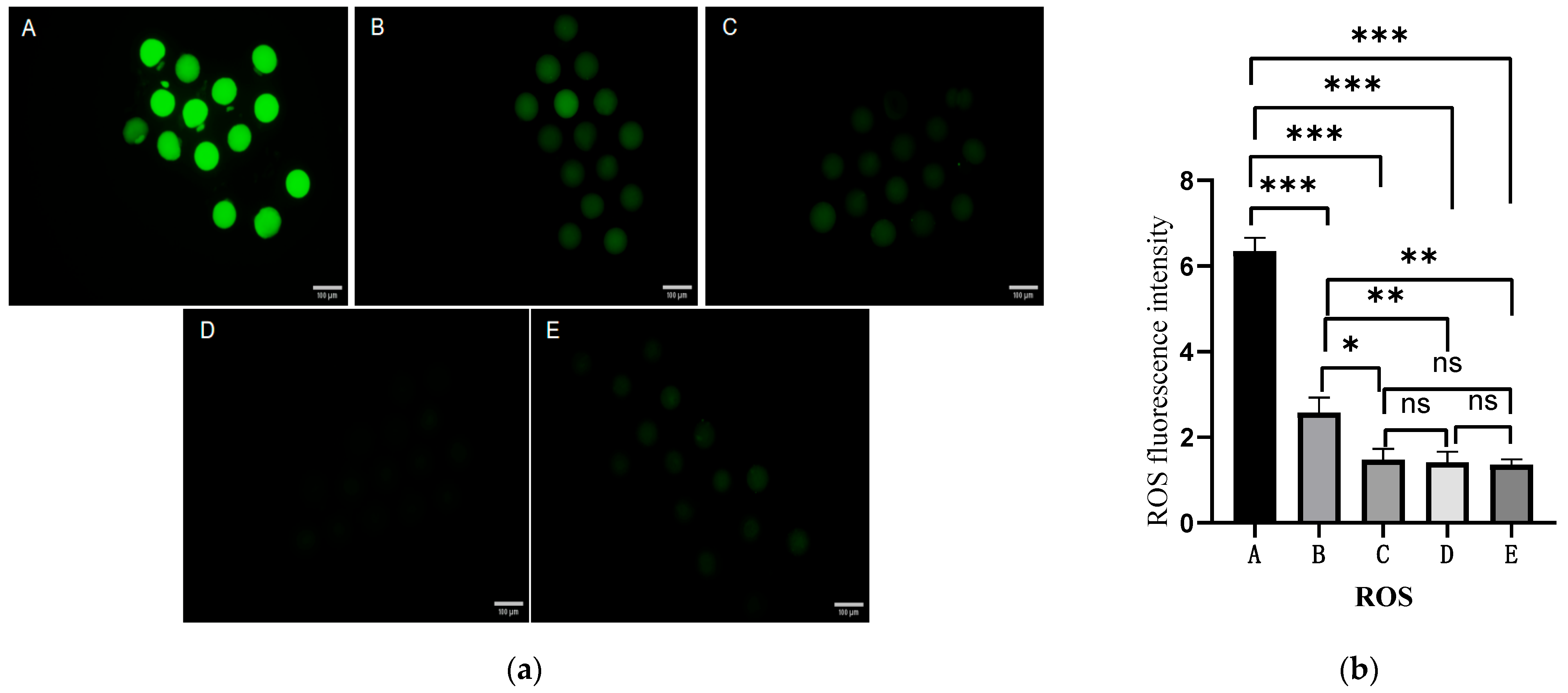 Ijms 27 01089 g003 Ijms 27 01089 g003