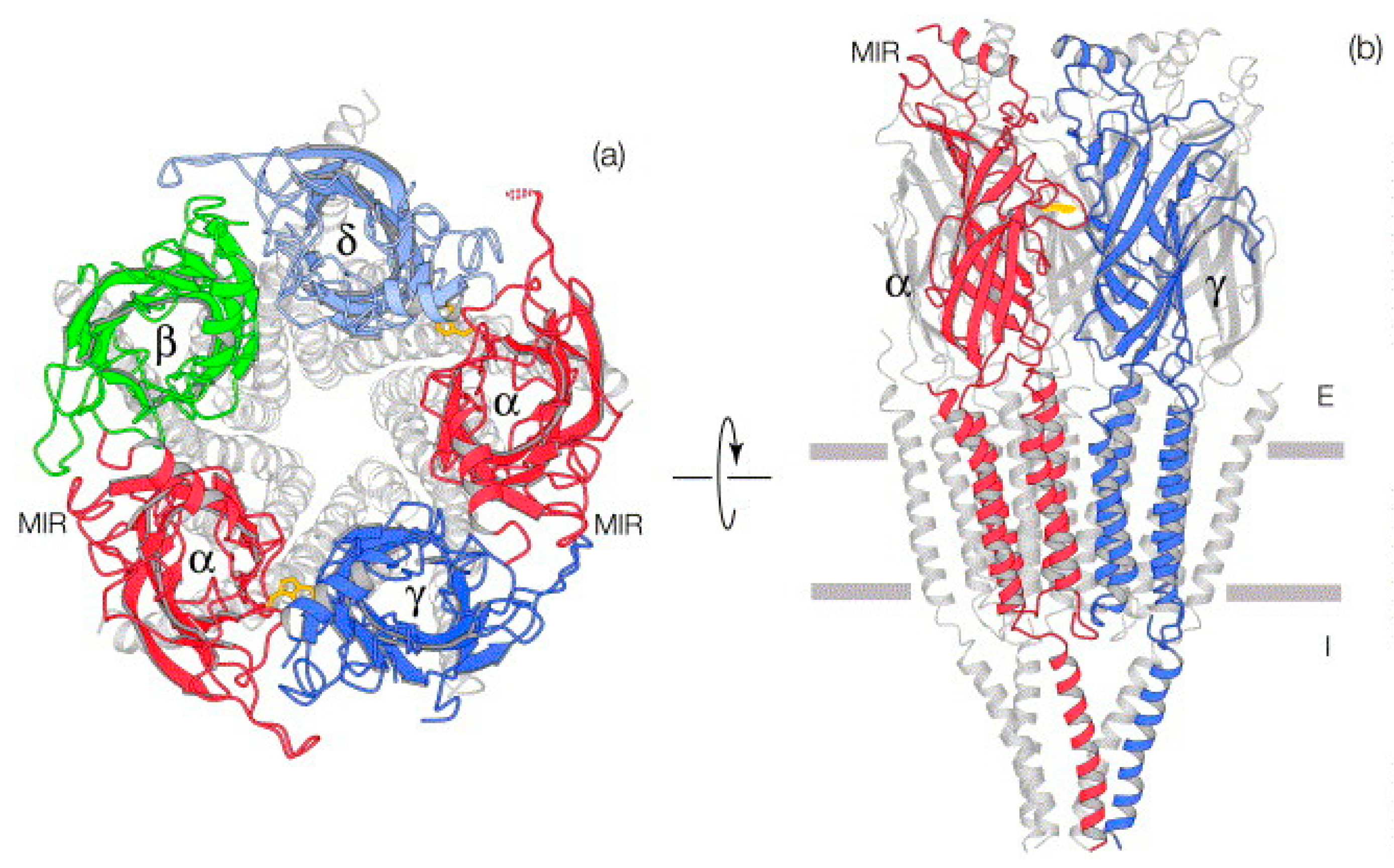 Ijms 27 01091 g001 Ijms 27 01091 g001