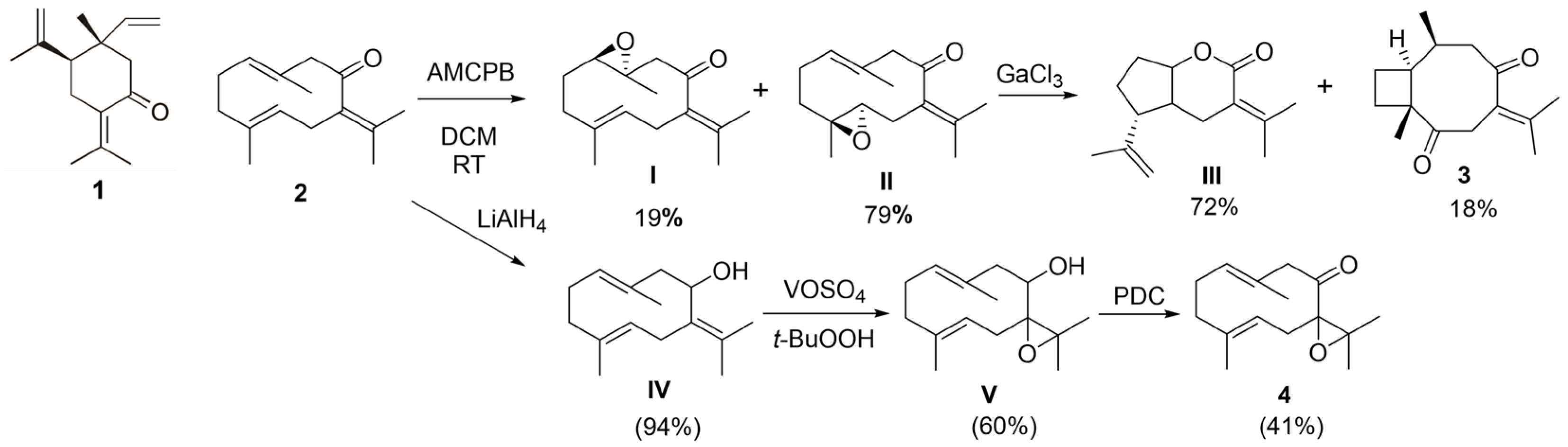 Ijms 27 01125 g007 Ijms 27 01125 g007