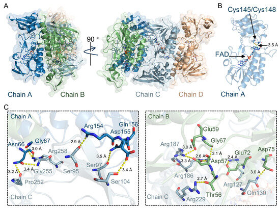 esther formula glutathione Structural and Mechanistic Characterization of Mycobacterium tuberculosis  TrxR Inhibition by Glutathione-Coated Gold Nanocluster