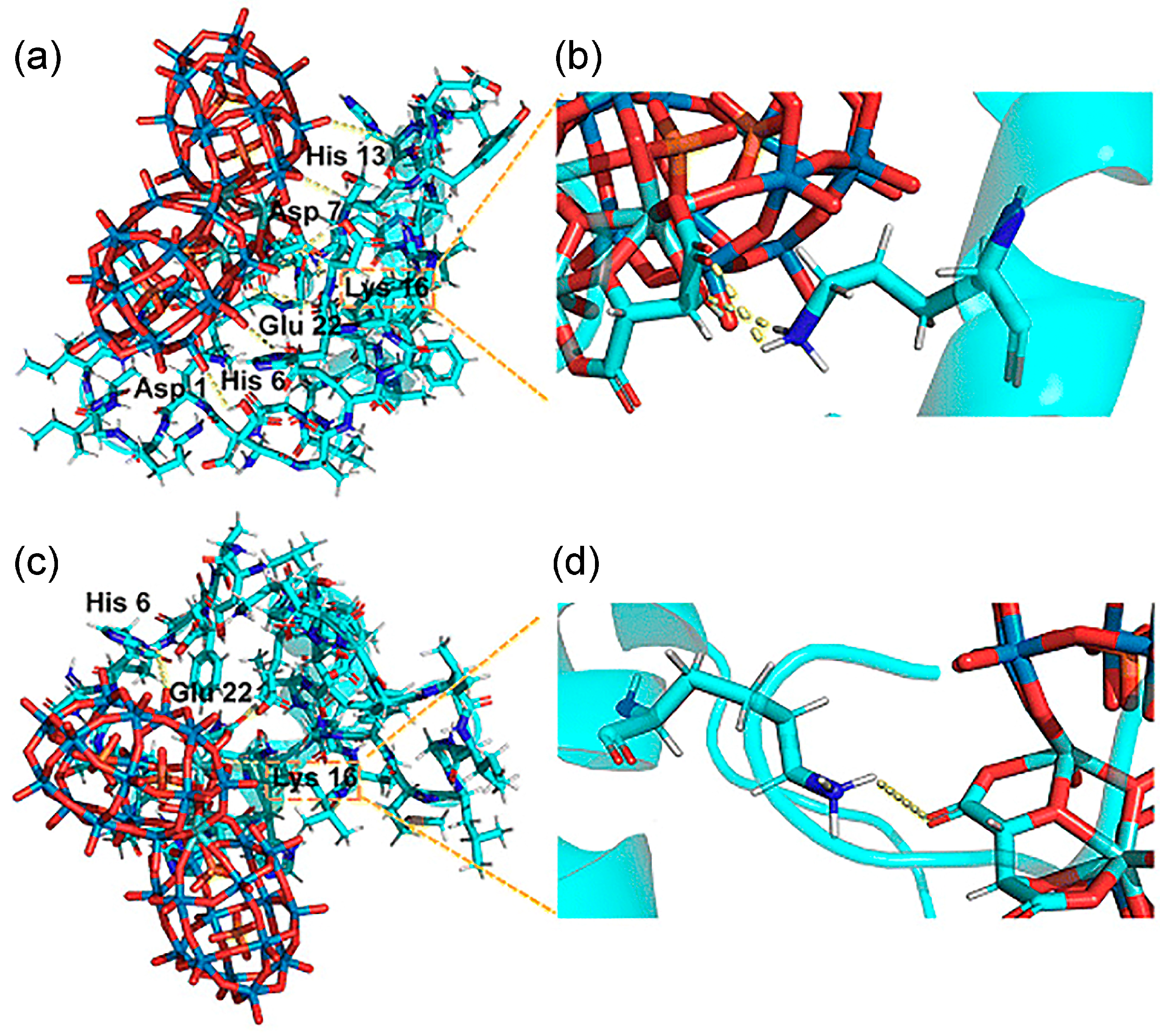 Ijms 27 01257 g006 Ijms 27 01257 g006