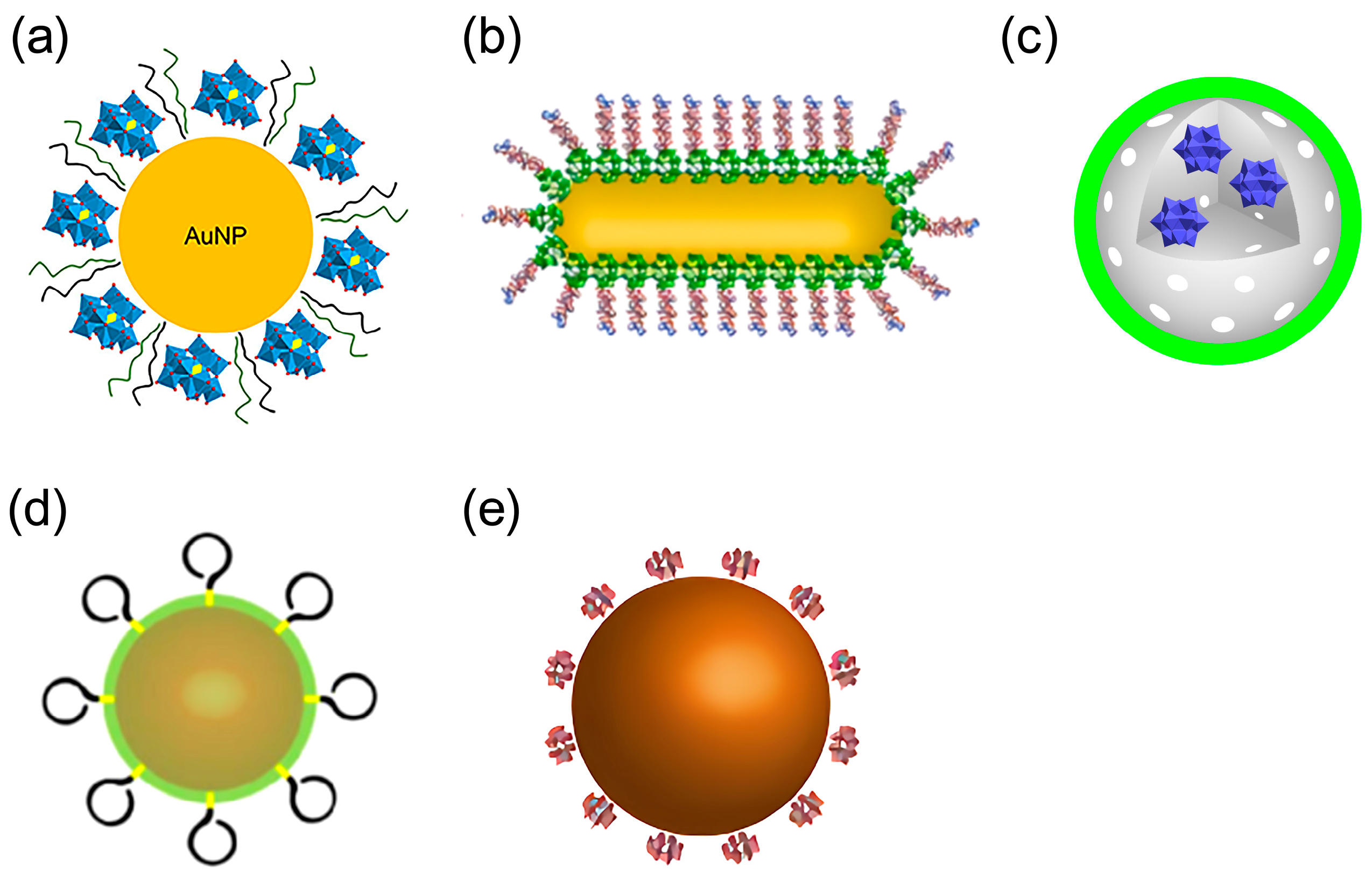Ijms 27 01257 g007 Ijms 27 01257 g007