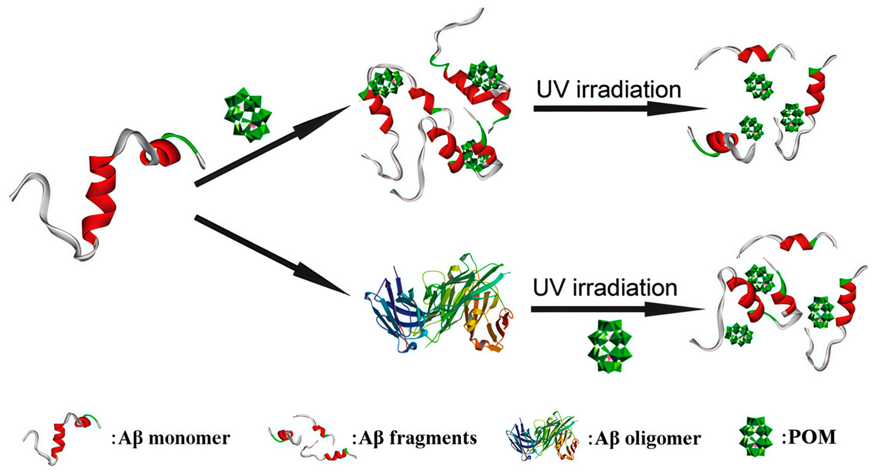 Ijms 27 01257 g008 Ijms 27 01257 g008