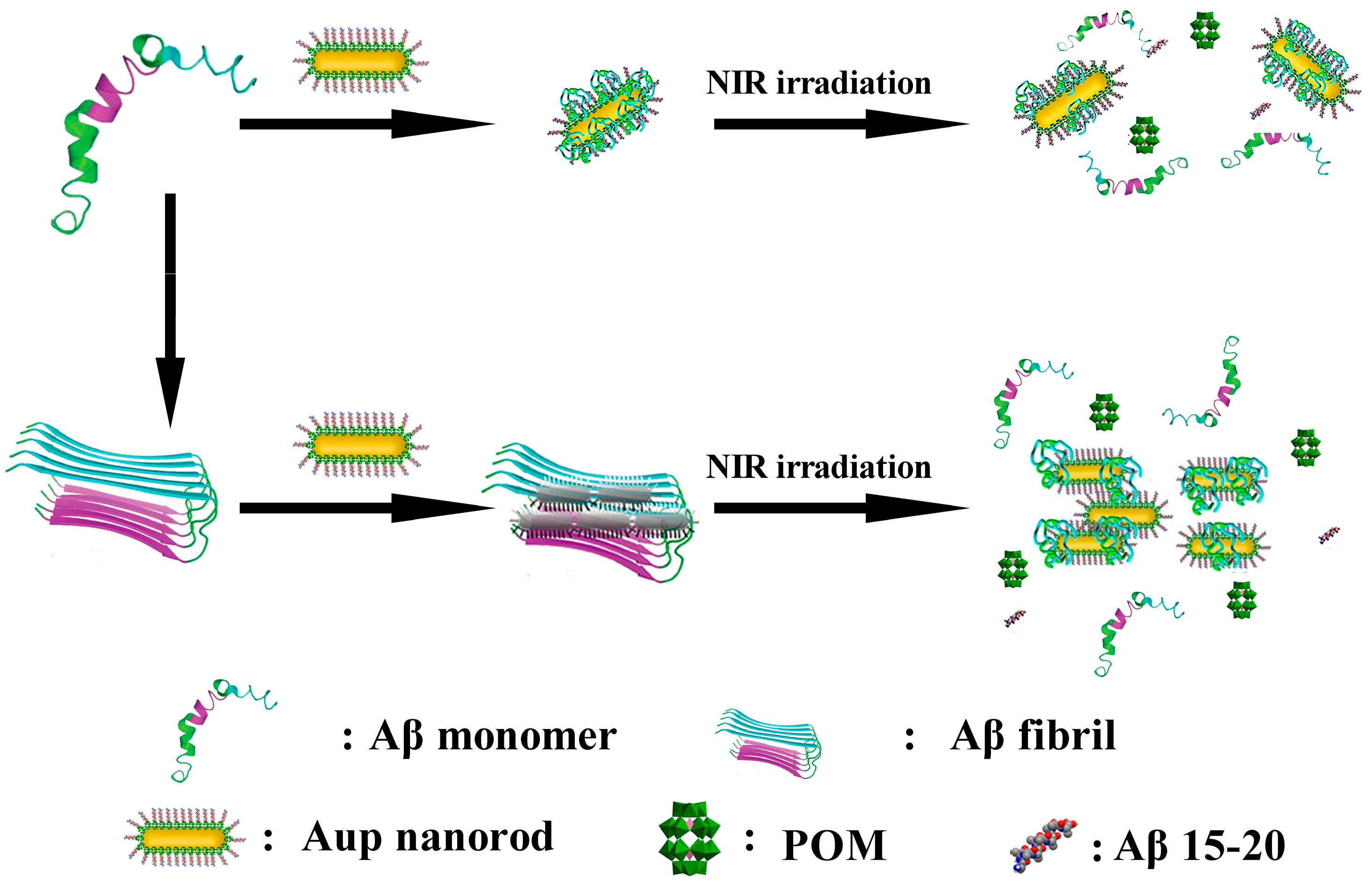 Ijms 27 01257 g009 Ijms 27 01257 g009