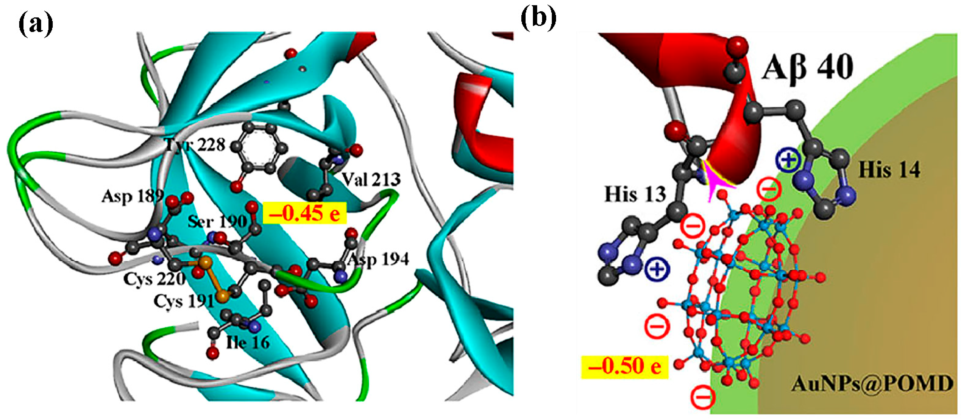 Ijms 27 01257 g010 Ijms 27 01257 g010