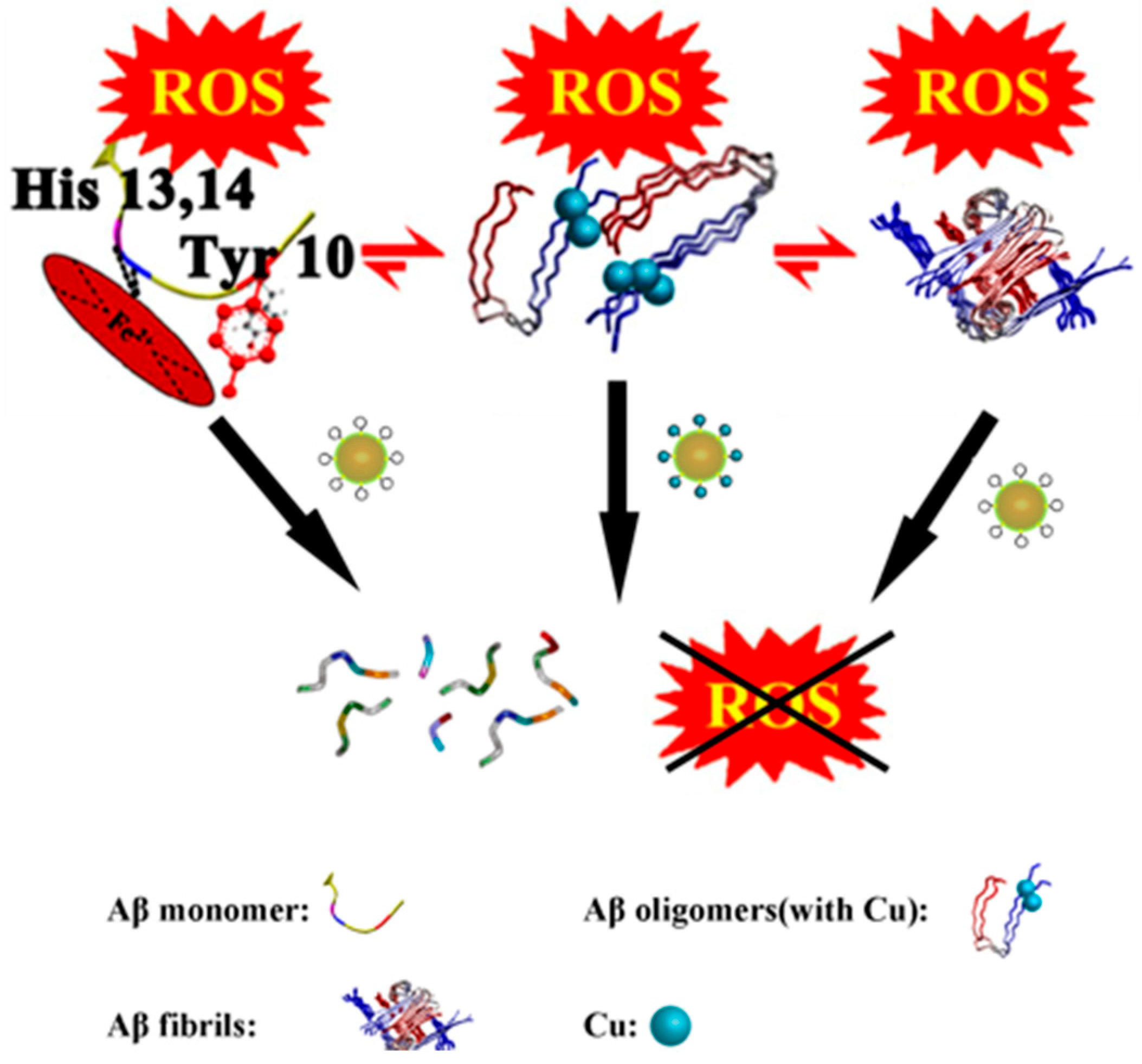 Ijms 27 01257 g011 Ijms 27 01257 g011