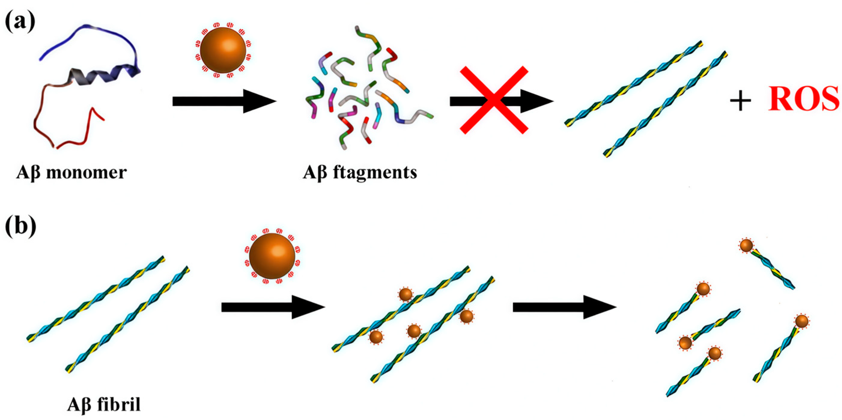 Ijms 27 01257 g013 Ijms 27 01257 g013
