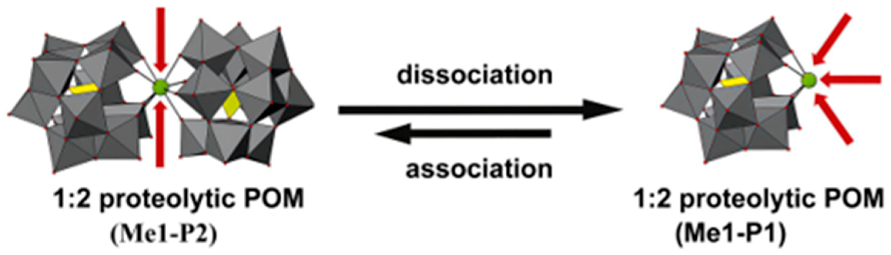 Ijms 27 01257 g014 Ijms 27 01257 g014