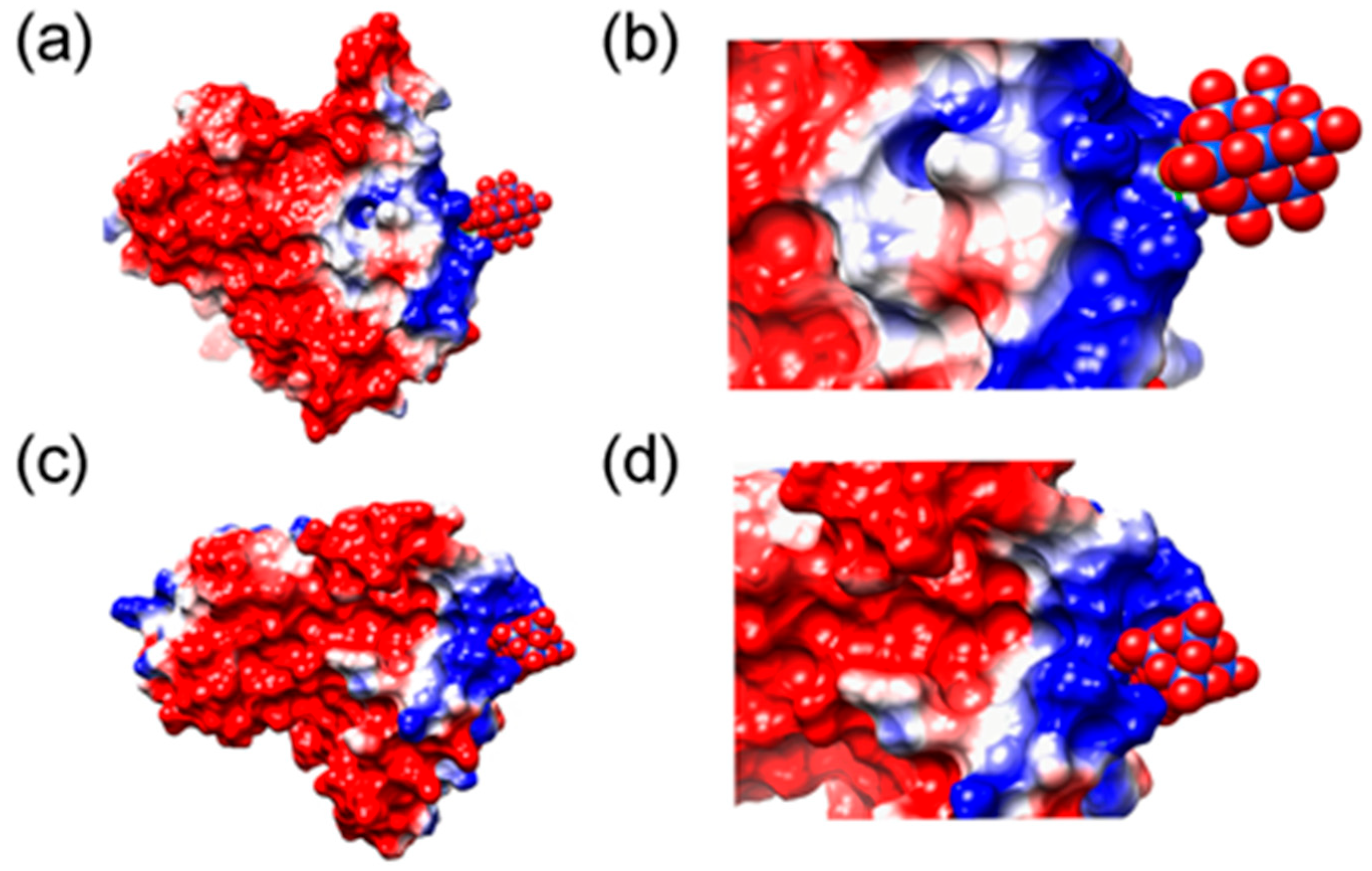 Ijms 27 01257 g015 Ijms 27 01257 g015