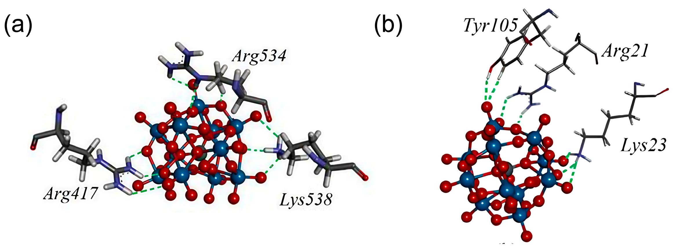 Ijms 27 01257 g016 Ijms 27 01257 g016