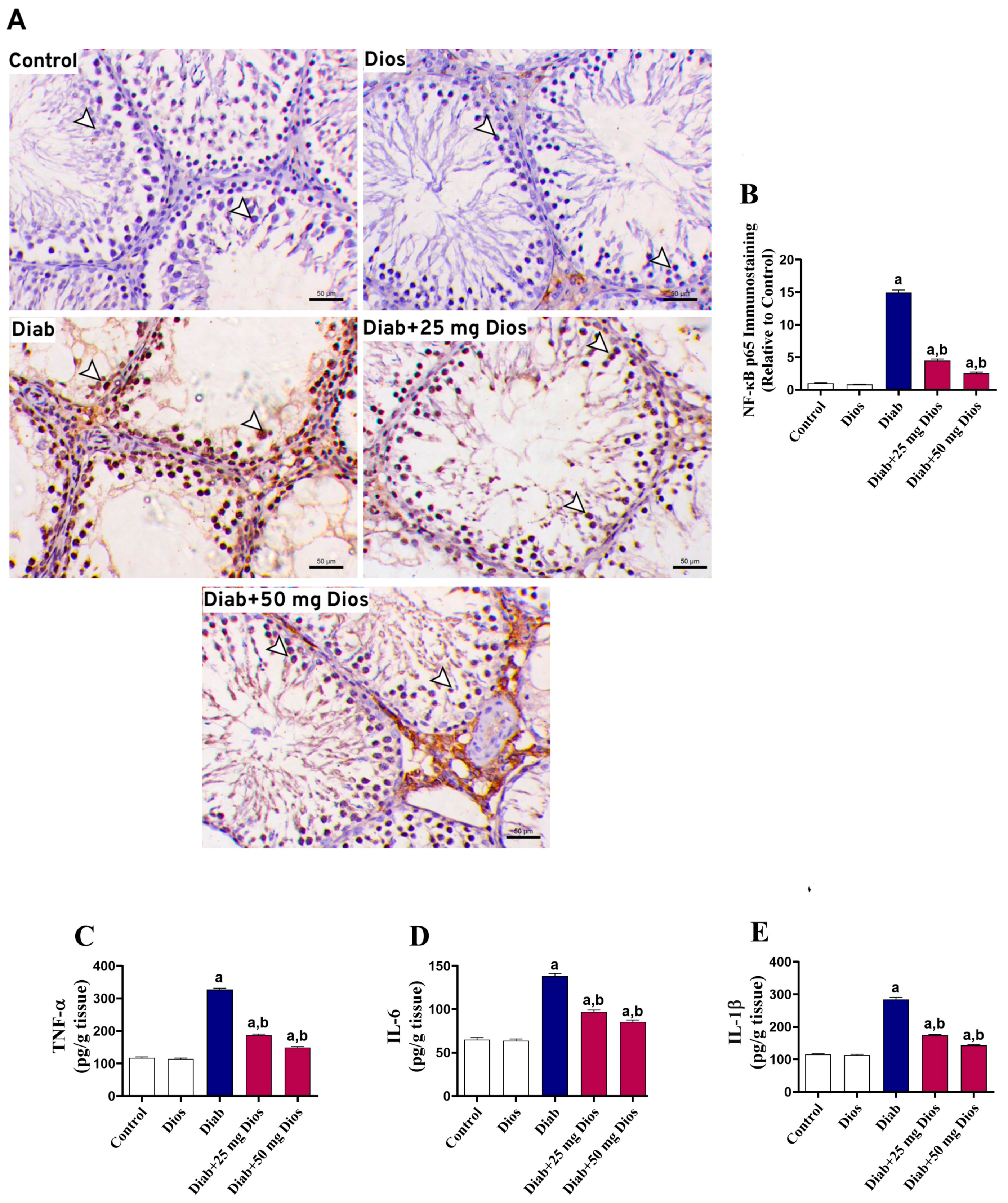 Ijms 27 01268 g005 Ijms 27 01268 g005