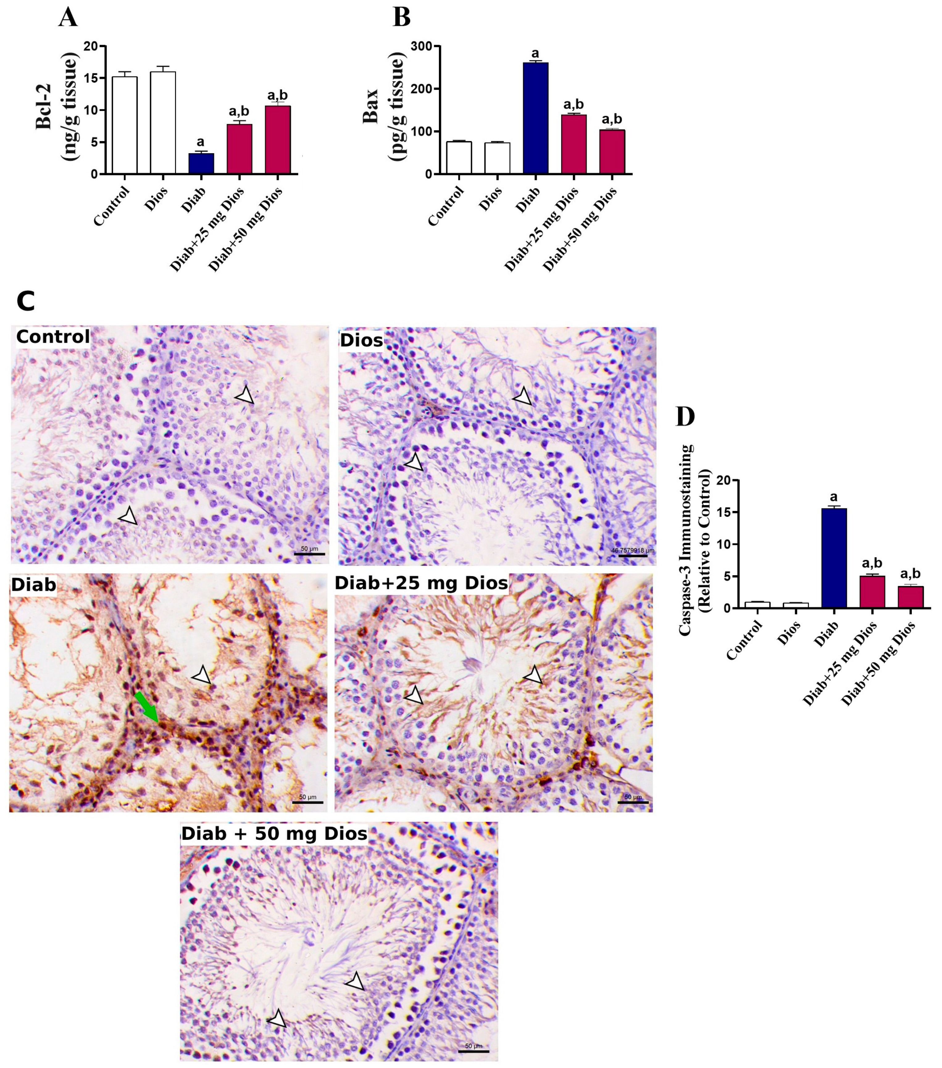 Ijms 27 01268 g006 Ijms 27 01268 g006