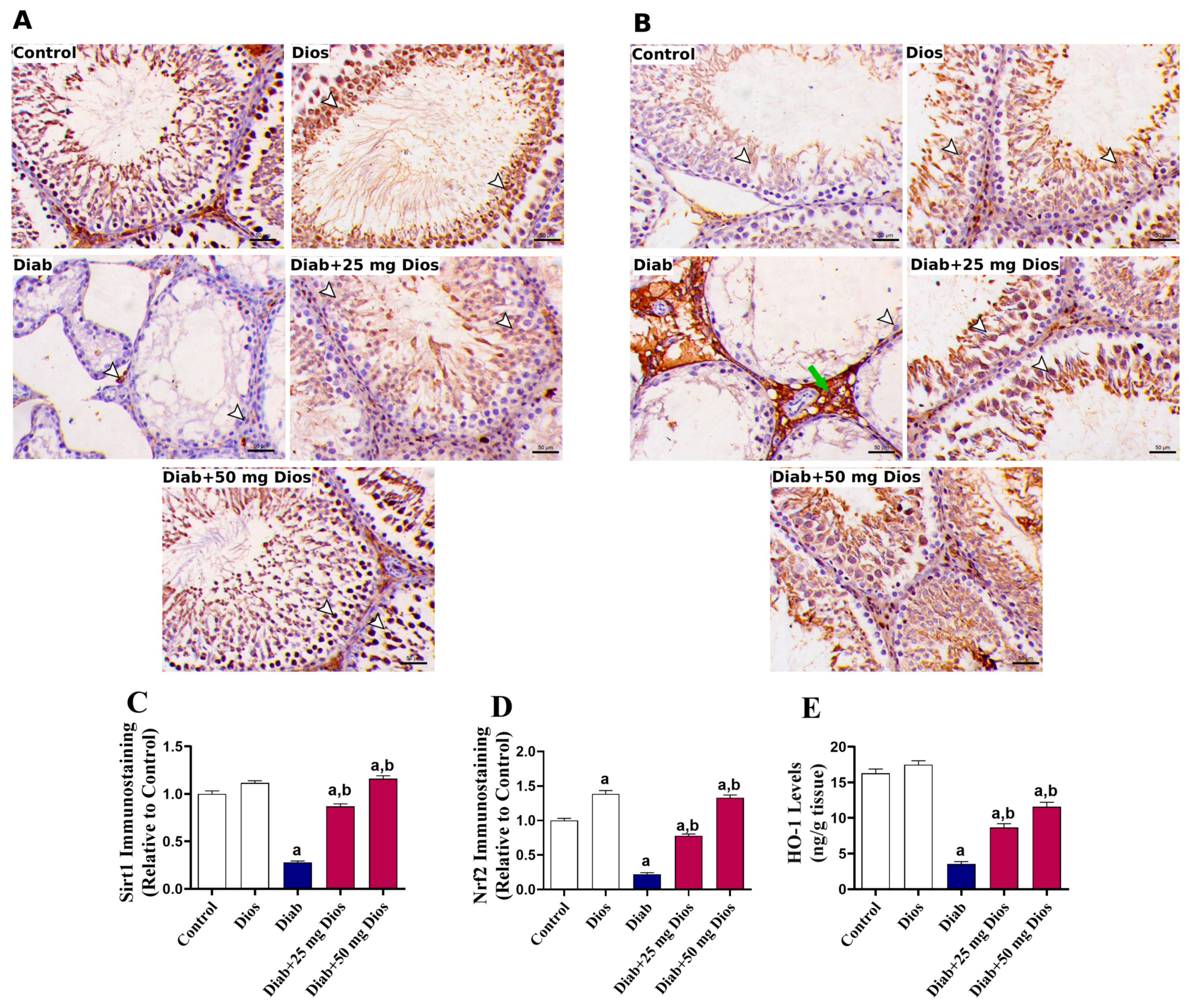 Ijms 27 01268 g007 Ijms 27 01268 g007