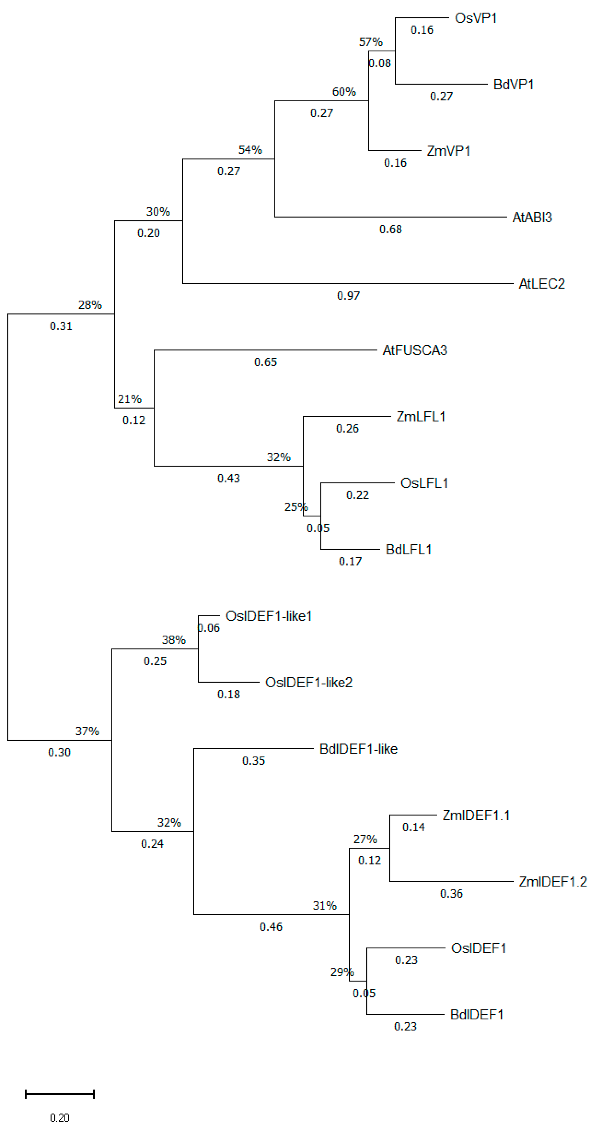 Ijms 27 01323 g006