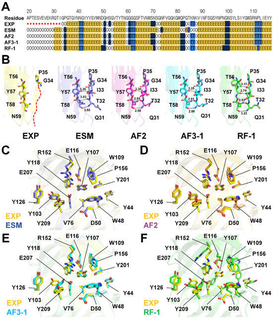 Evaluation of AI-Predicted GH11 Xylanase Models Against a