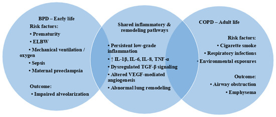 bpd and smoking cigarettes Common Biomarkers in Chronic Obstructive Pulmonary Disease and  Bronchopulmonary Dysplasia: A Narrative Review of an Intriguing Interplay