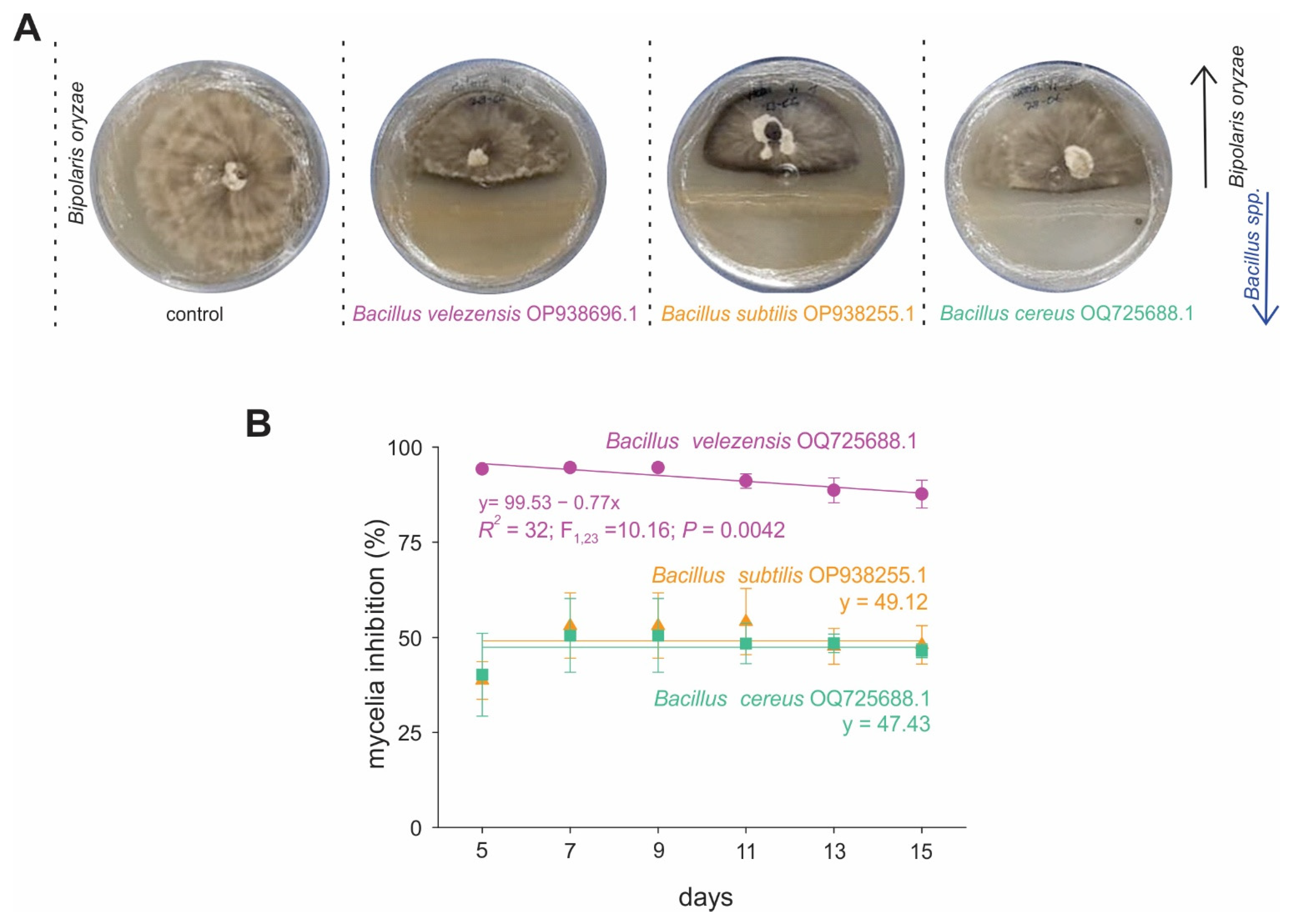 Ijms 27 01455 g002 Ijms 27 01455 g002