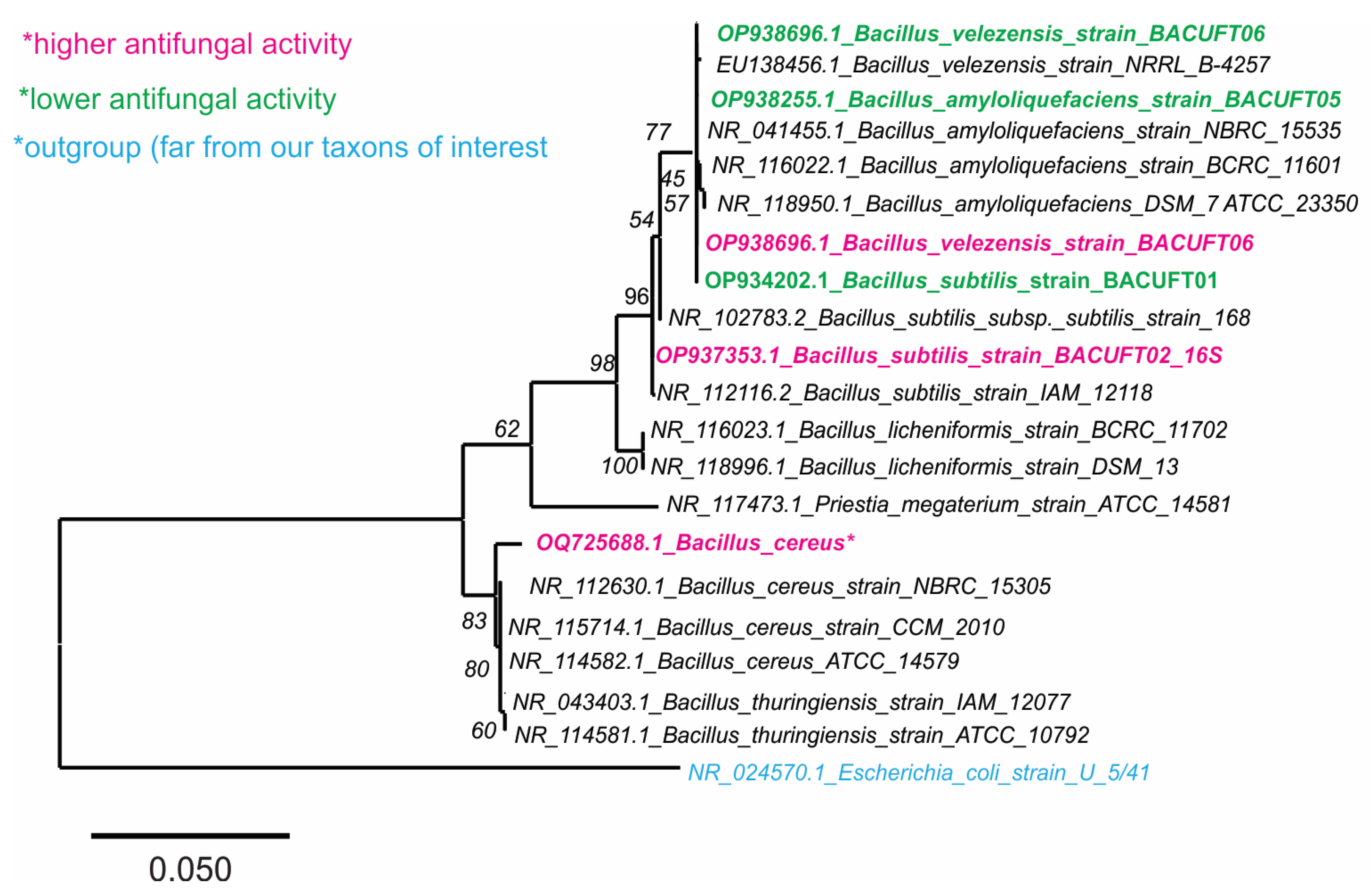 Ijms 27 01455 g003 Ijms 27 01455 g003