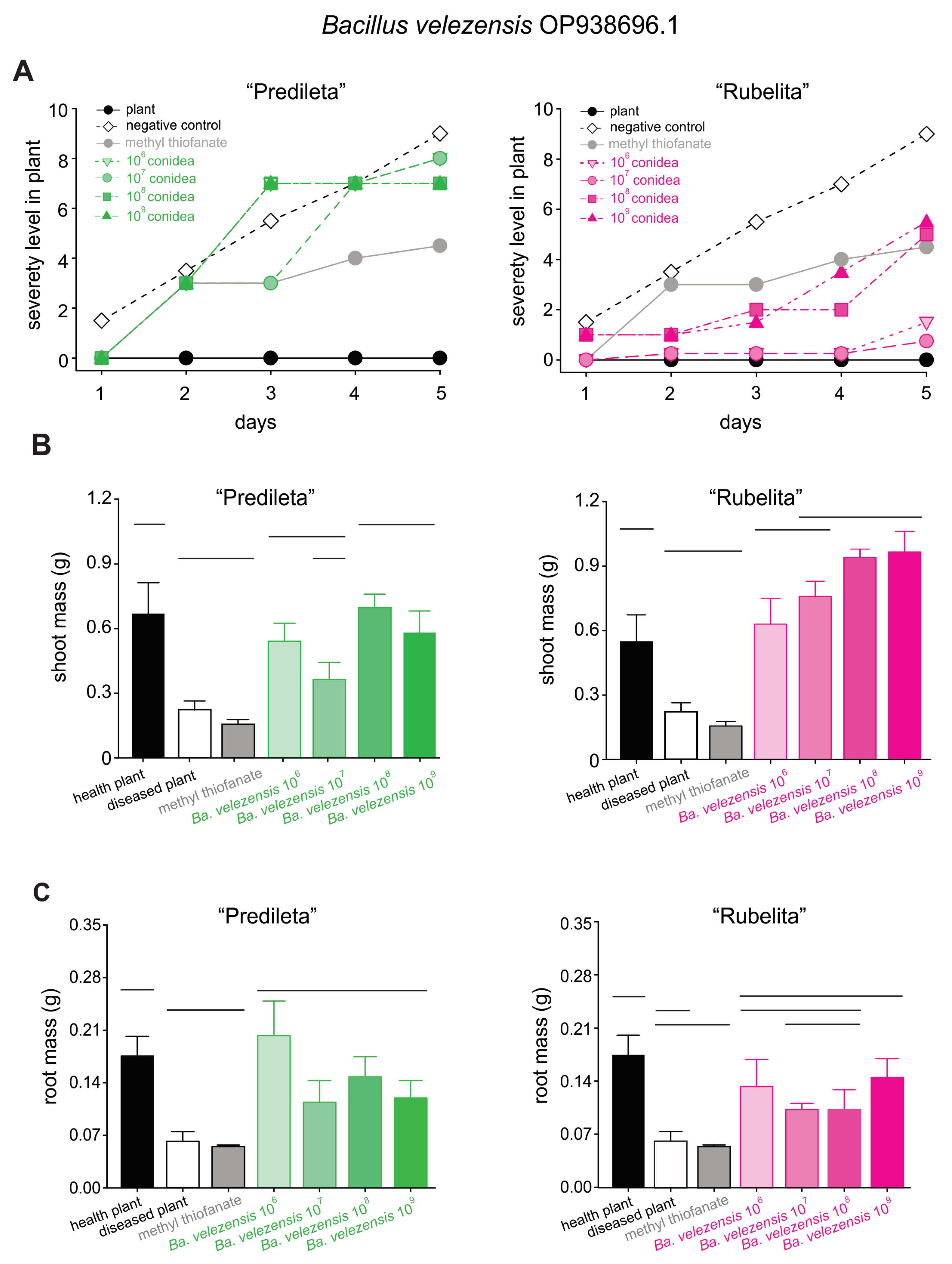 Ijms 27 01455 g004 Ijms 27 01455 g004