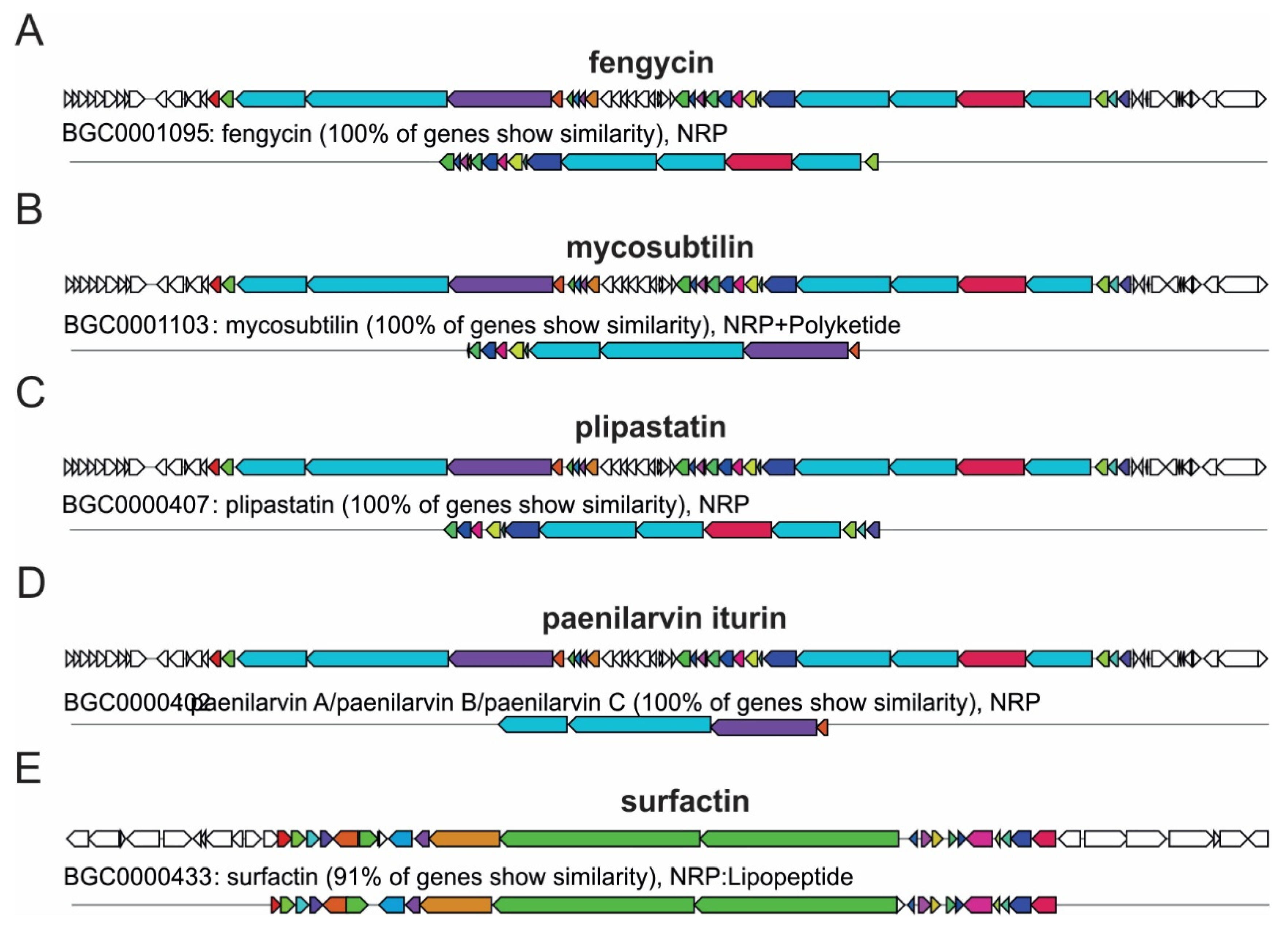Ijms 27 01455 g006 Ijms 27 01455 g006