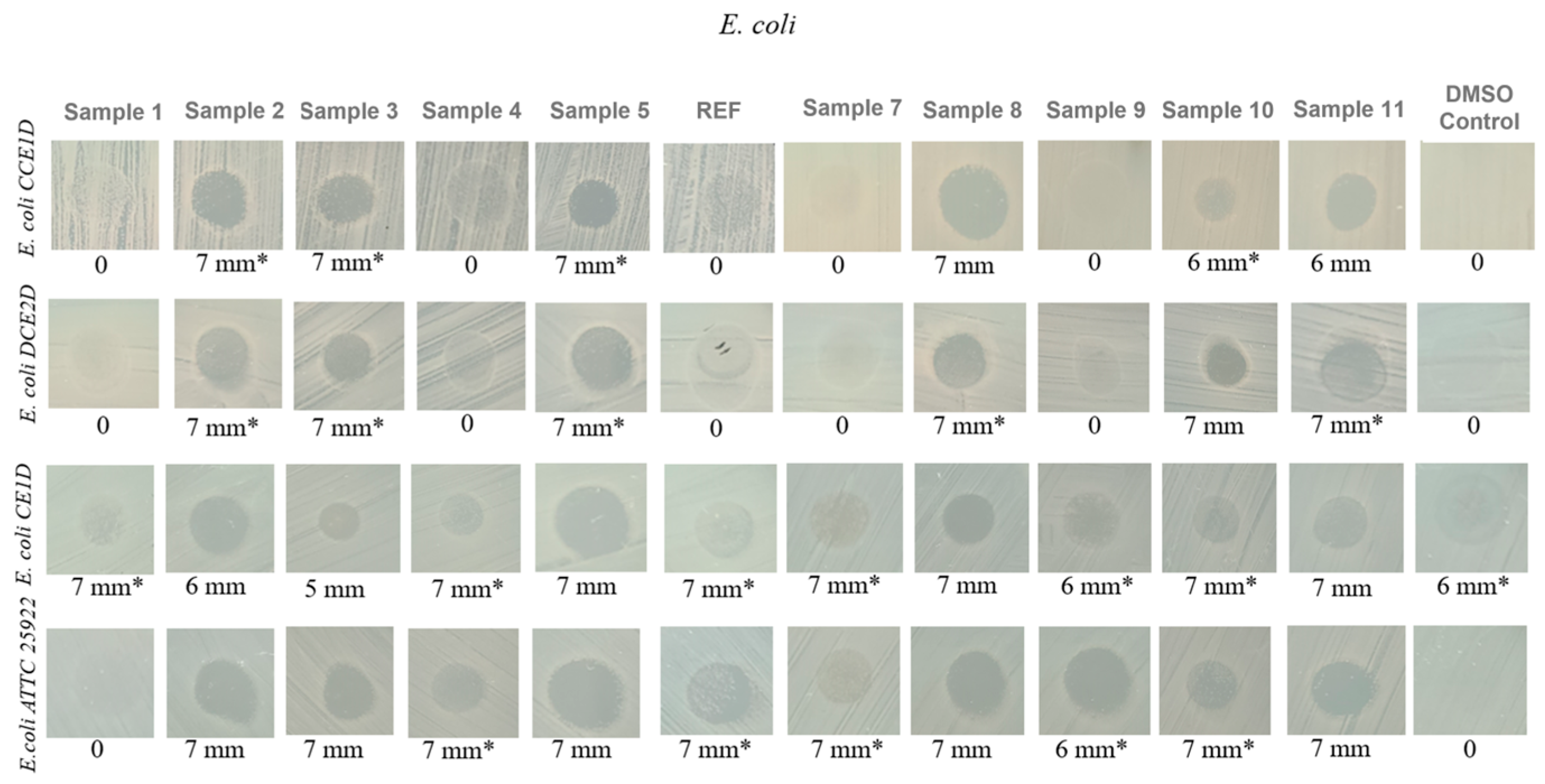 Ijms 27 01456 g012