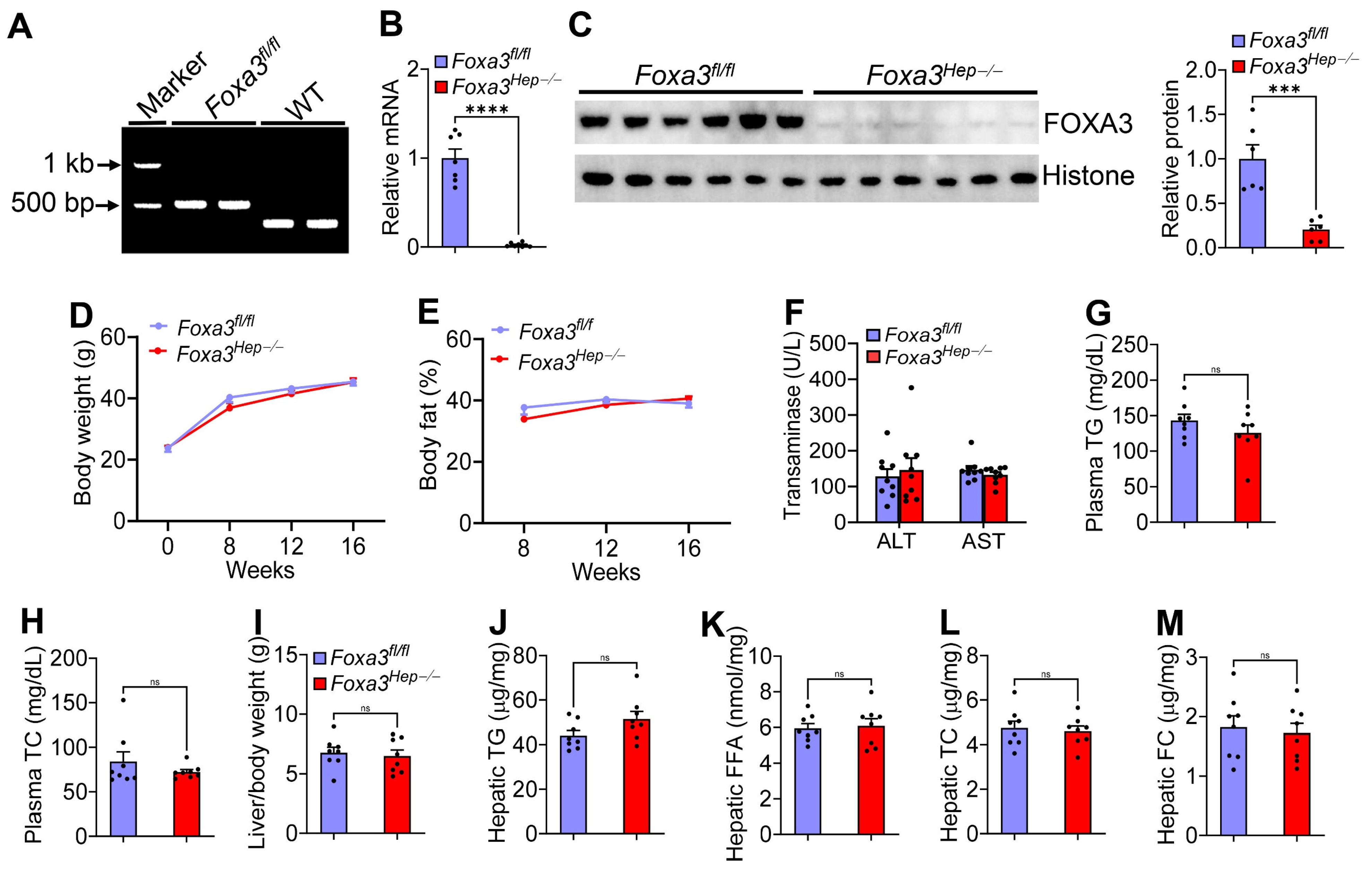 Ijms 27 01468 g001 Ijms 27 01468 g001
