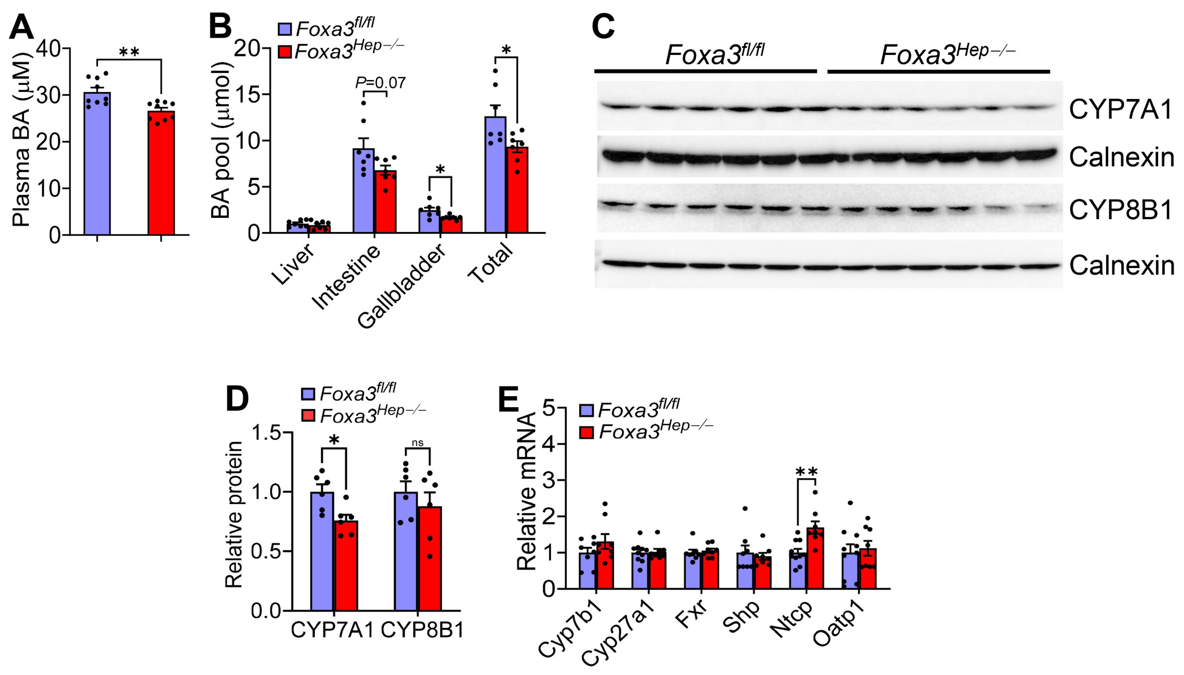Ijms 27 01468 g002 Ijms 27 01468 g002