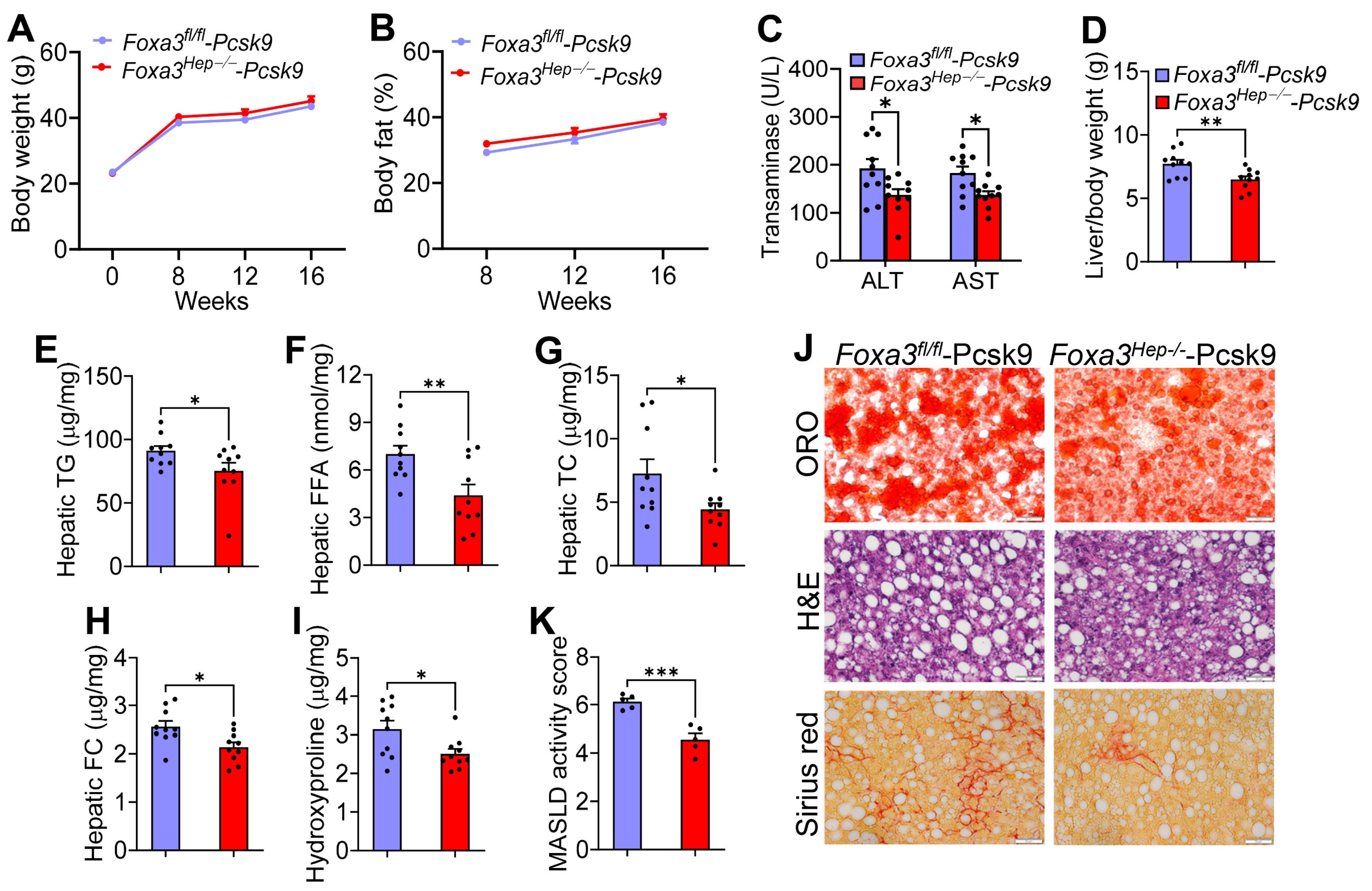 Ijms 27 01468 g003 Ijms 27 01468 g003