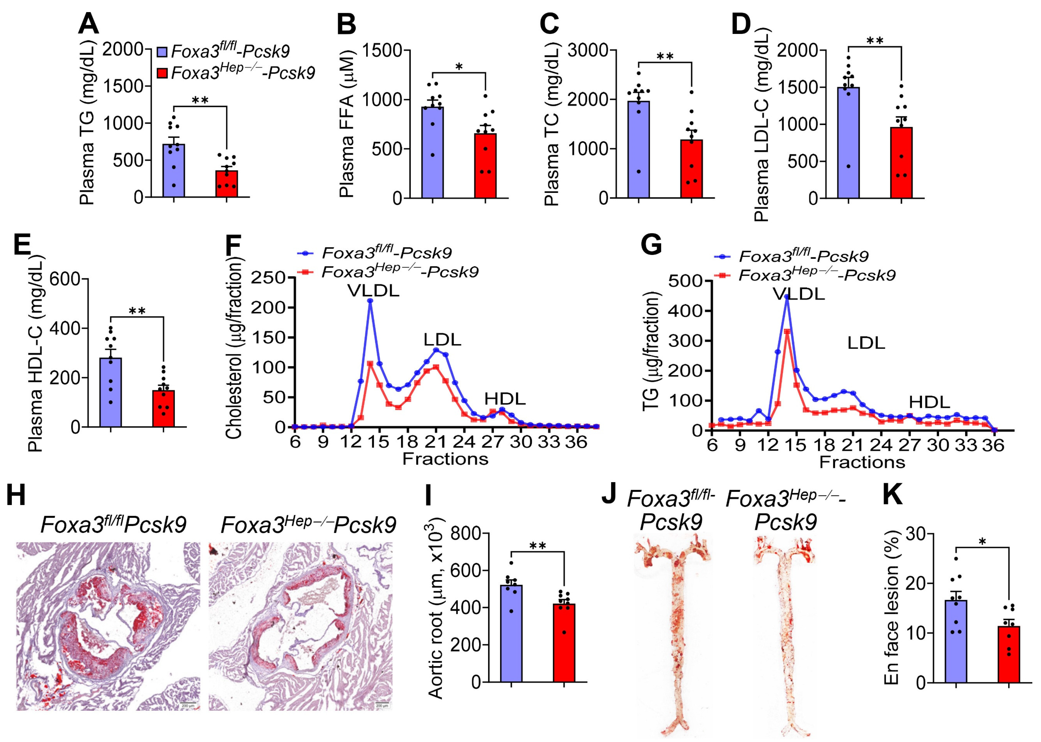 Ijms 27 01468 g004 Ijms 27 01468 g004