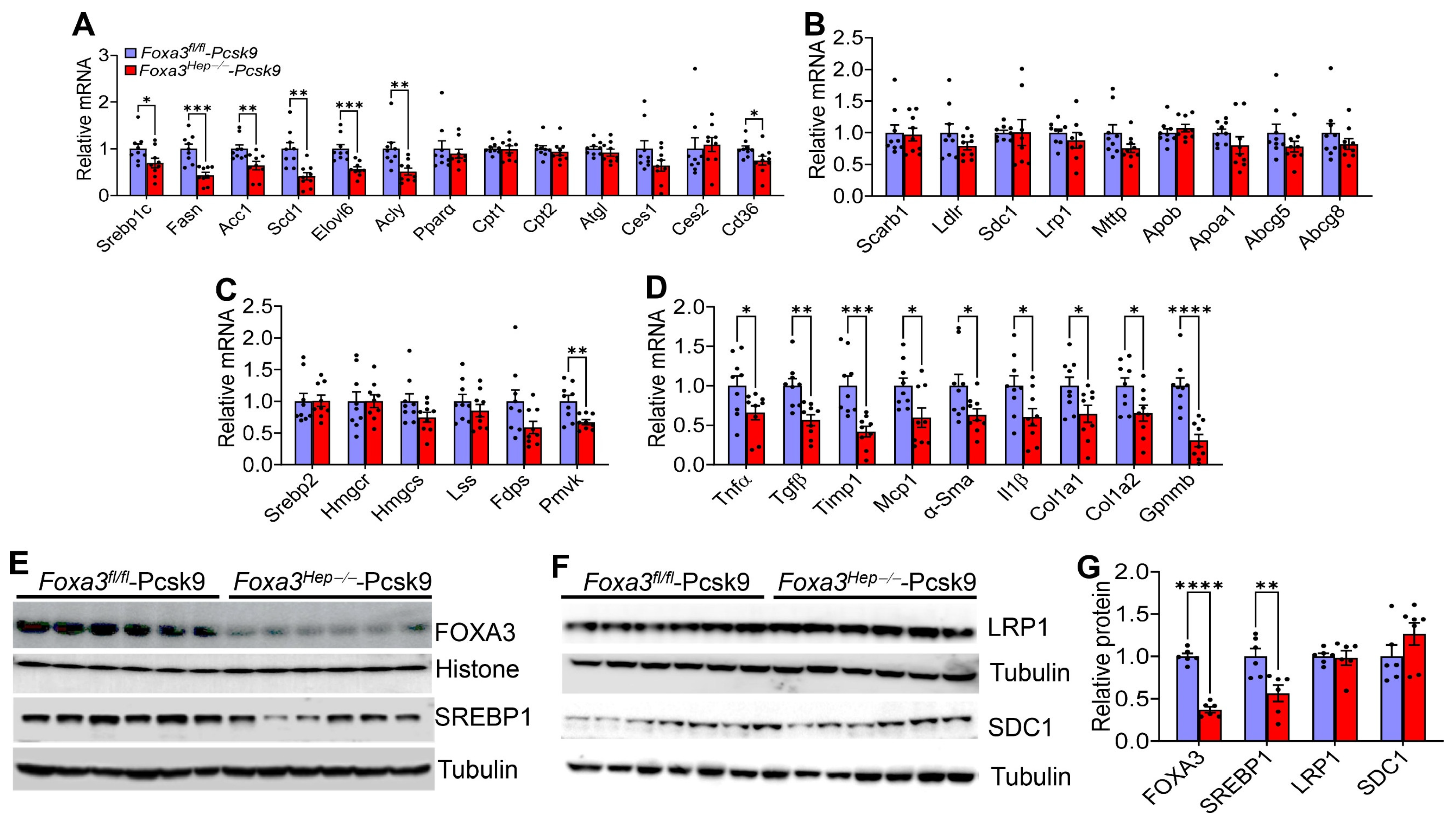 Ijms 27 01468 g005 Ijms 27 01468 g005