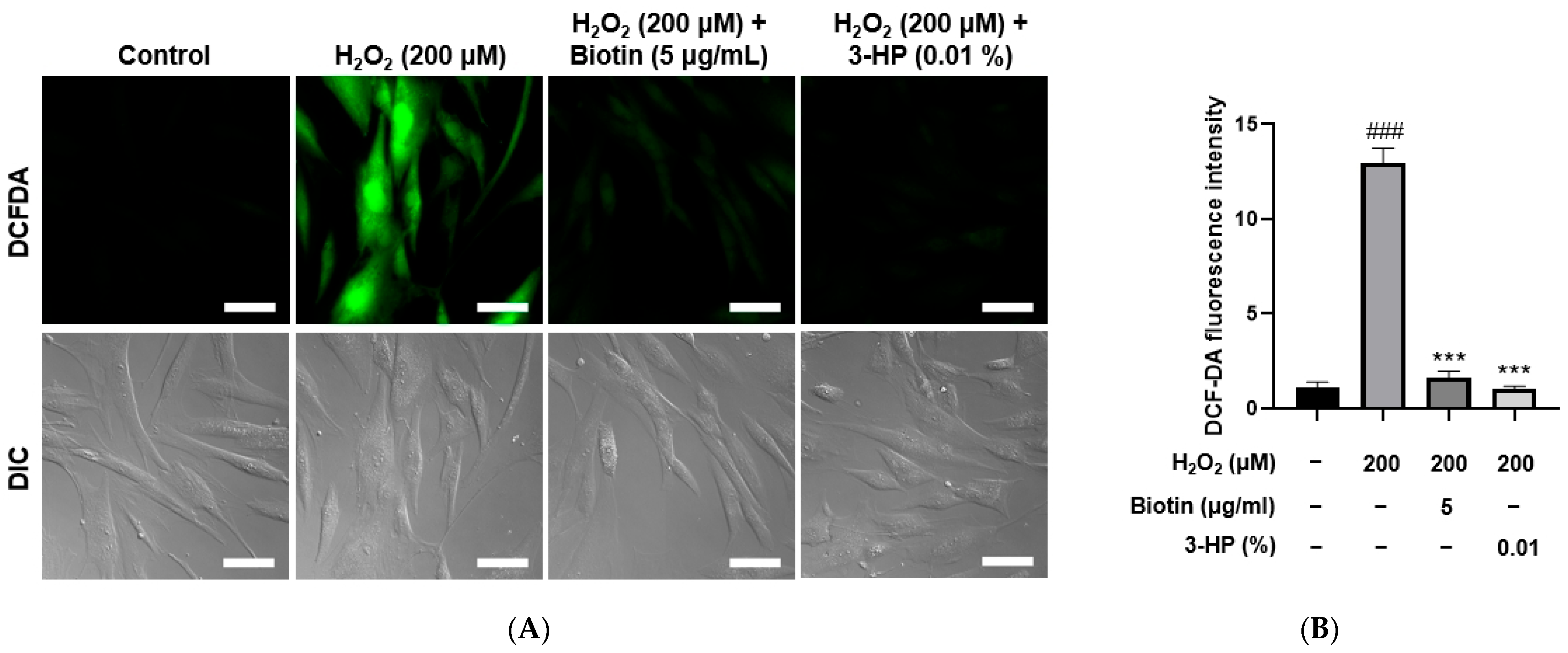 Ijms 27 01480 g004 Ijms 27 01480 g004